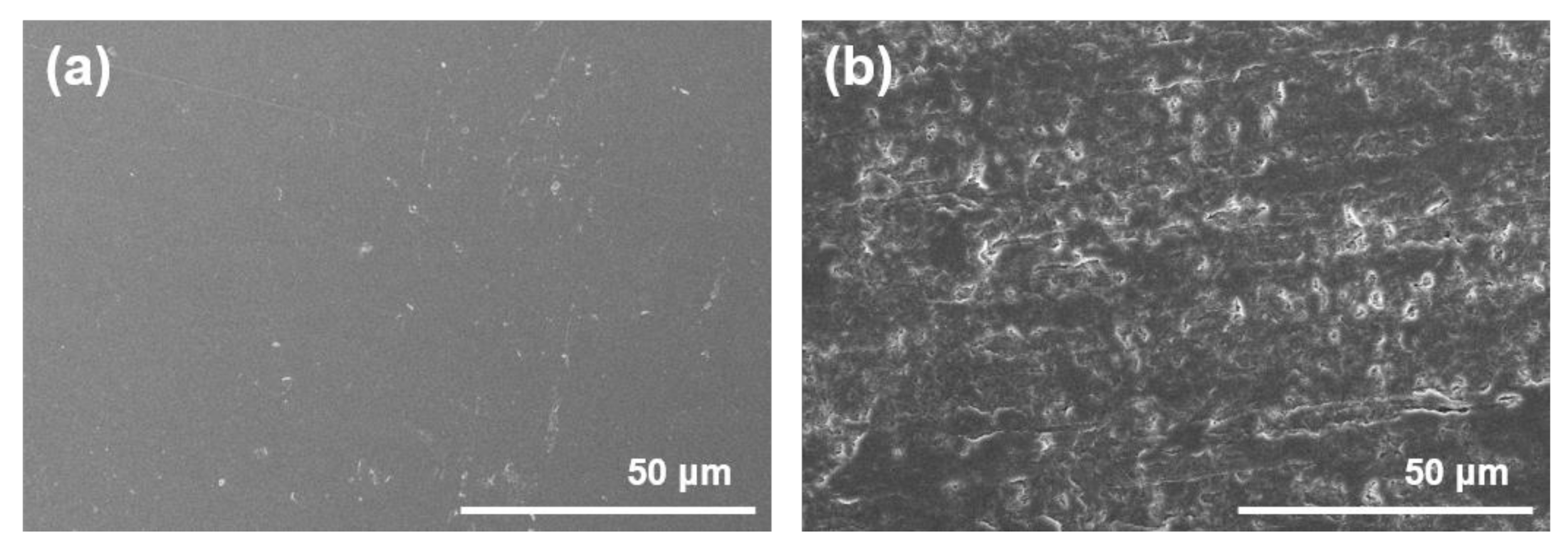 Polymers 13 00546 g008