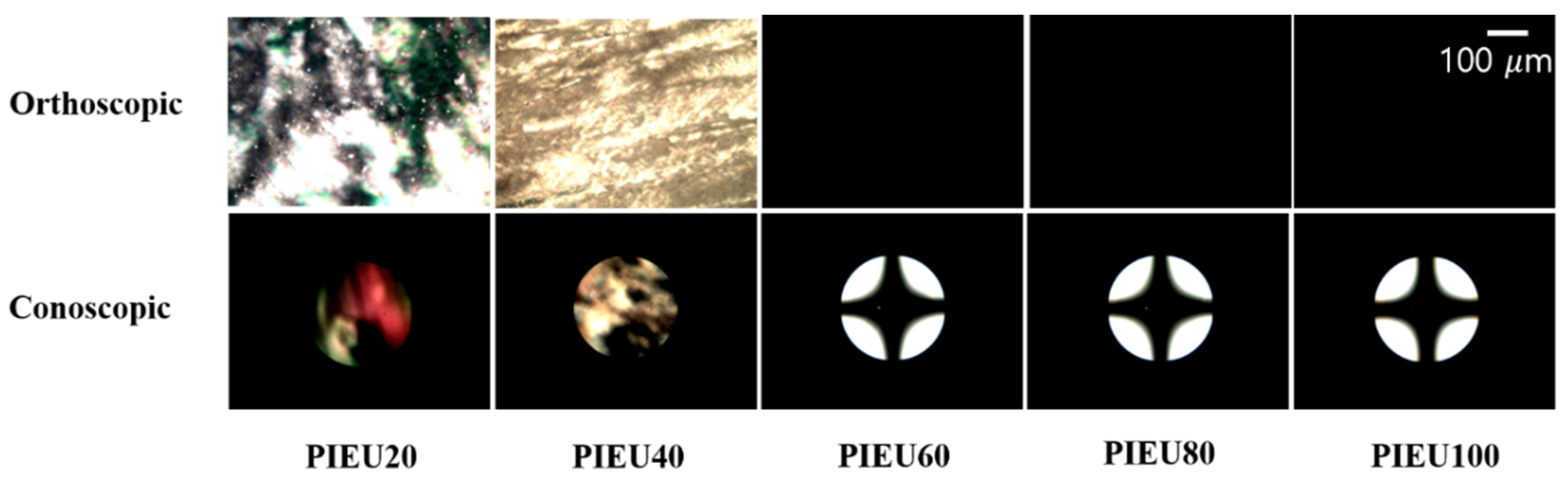 Polymers 13 00547 g006