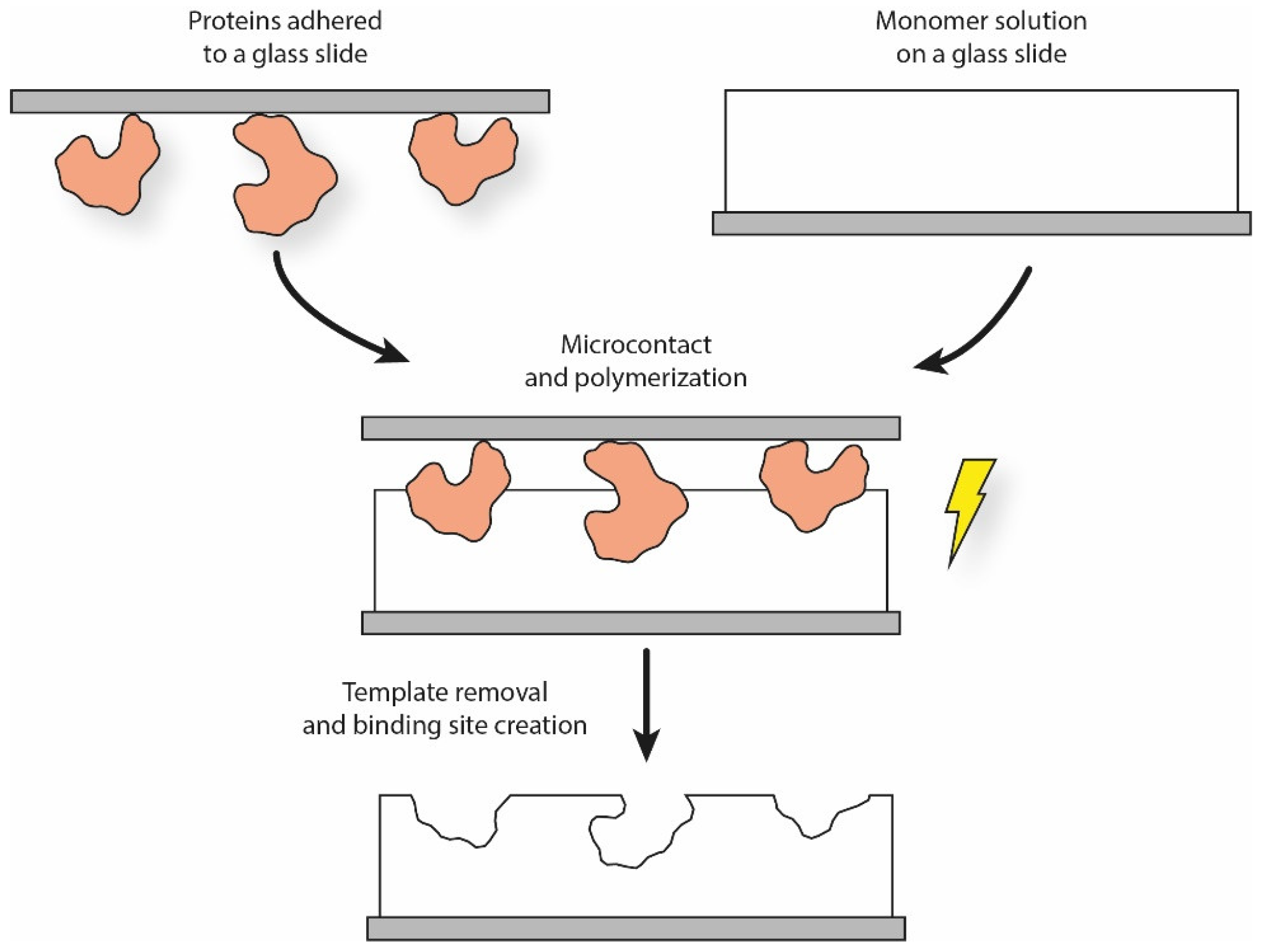 Polymers 13 00548 g002