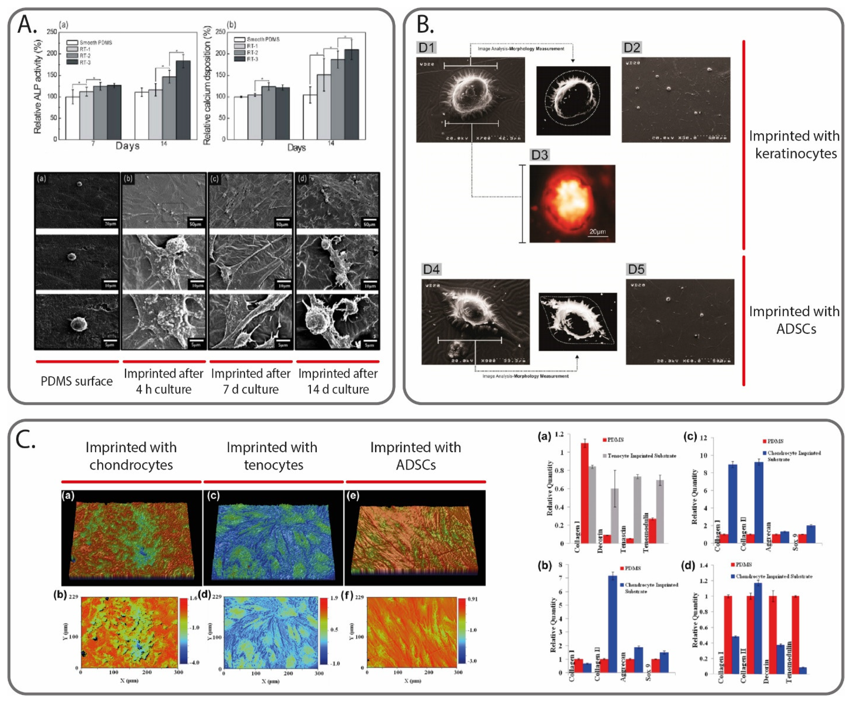 Polymers 13 00548 g004
