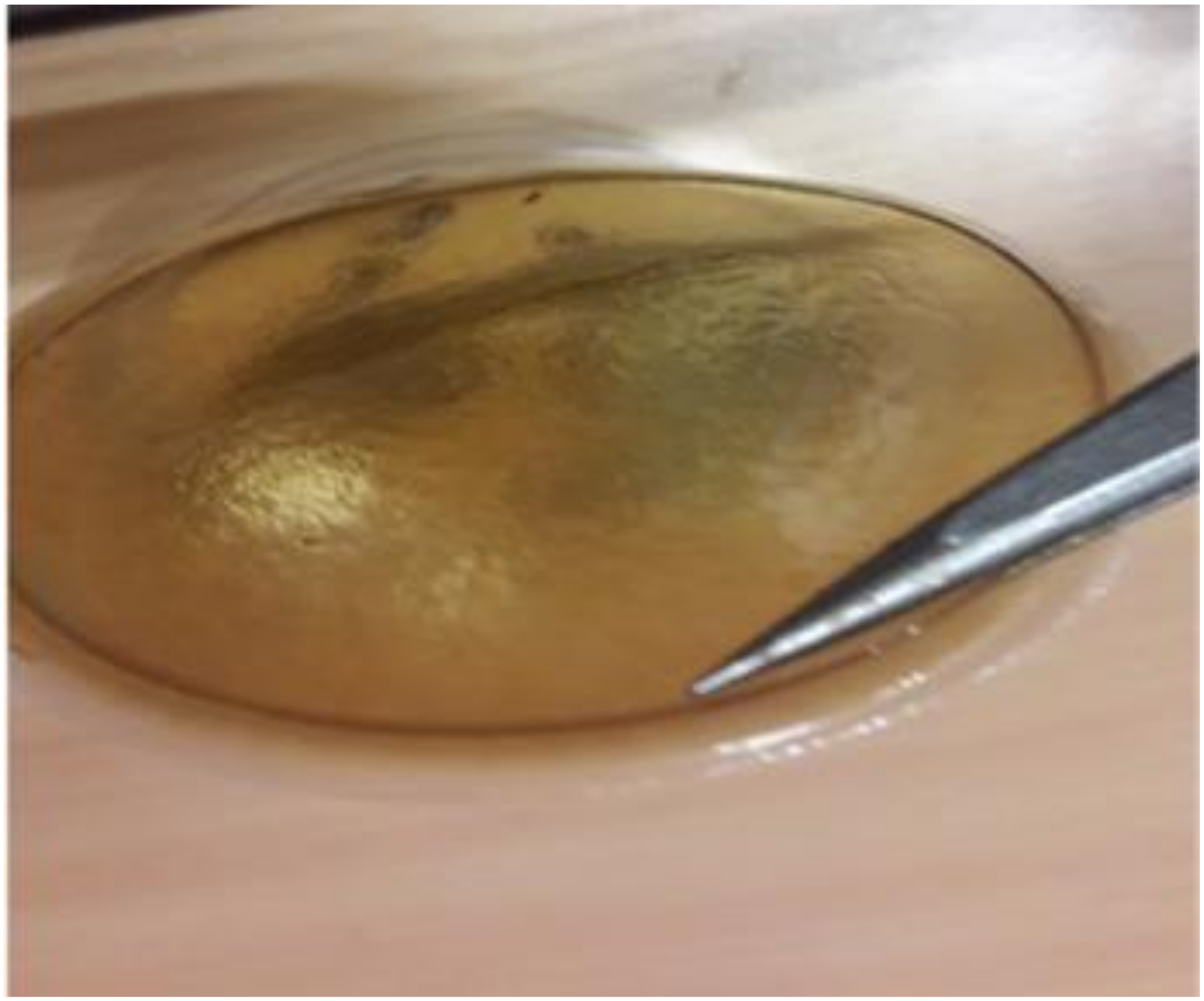 Polymers 13 00549 g001