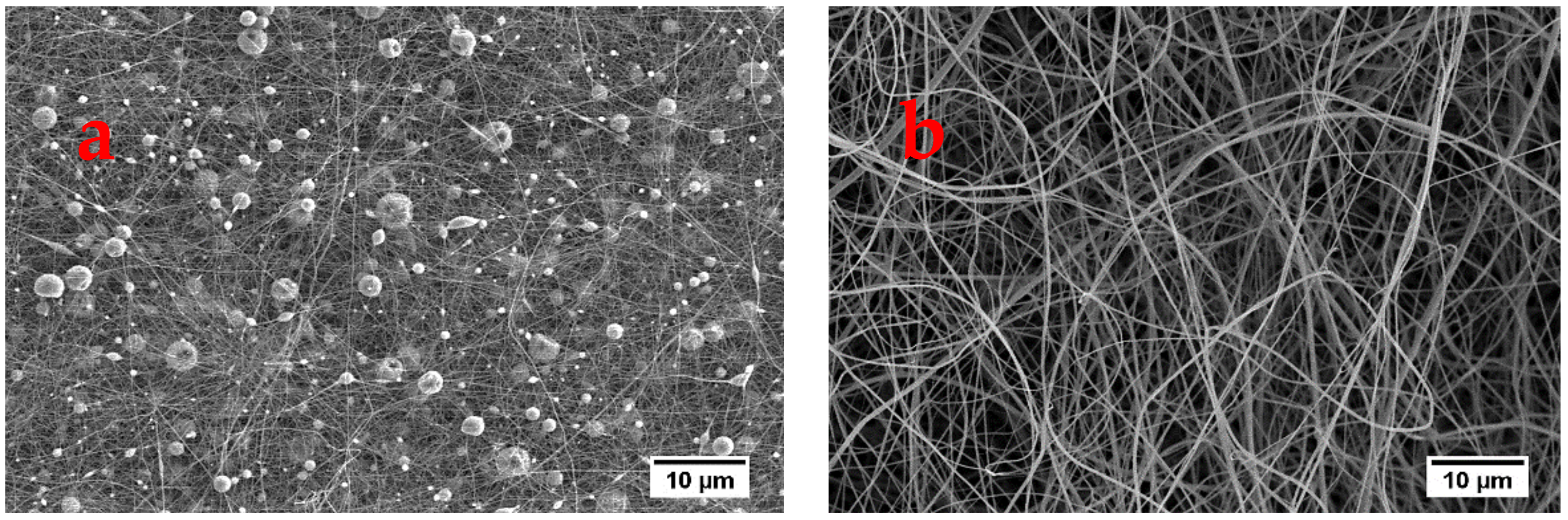 Polymers 13 00549 g005