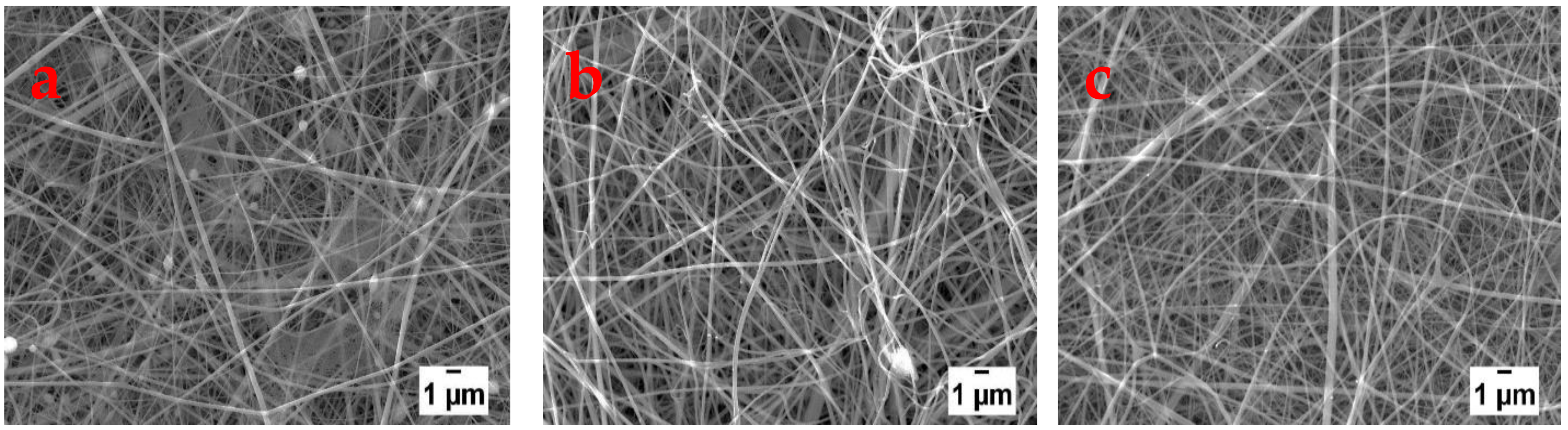 Polymers 13 00549 g006