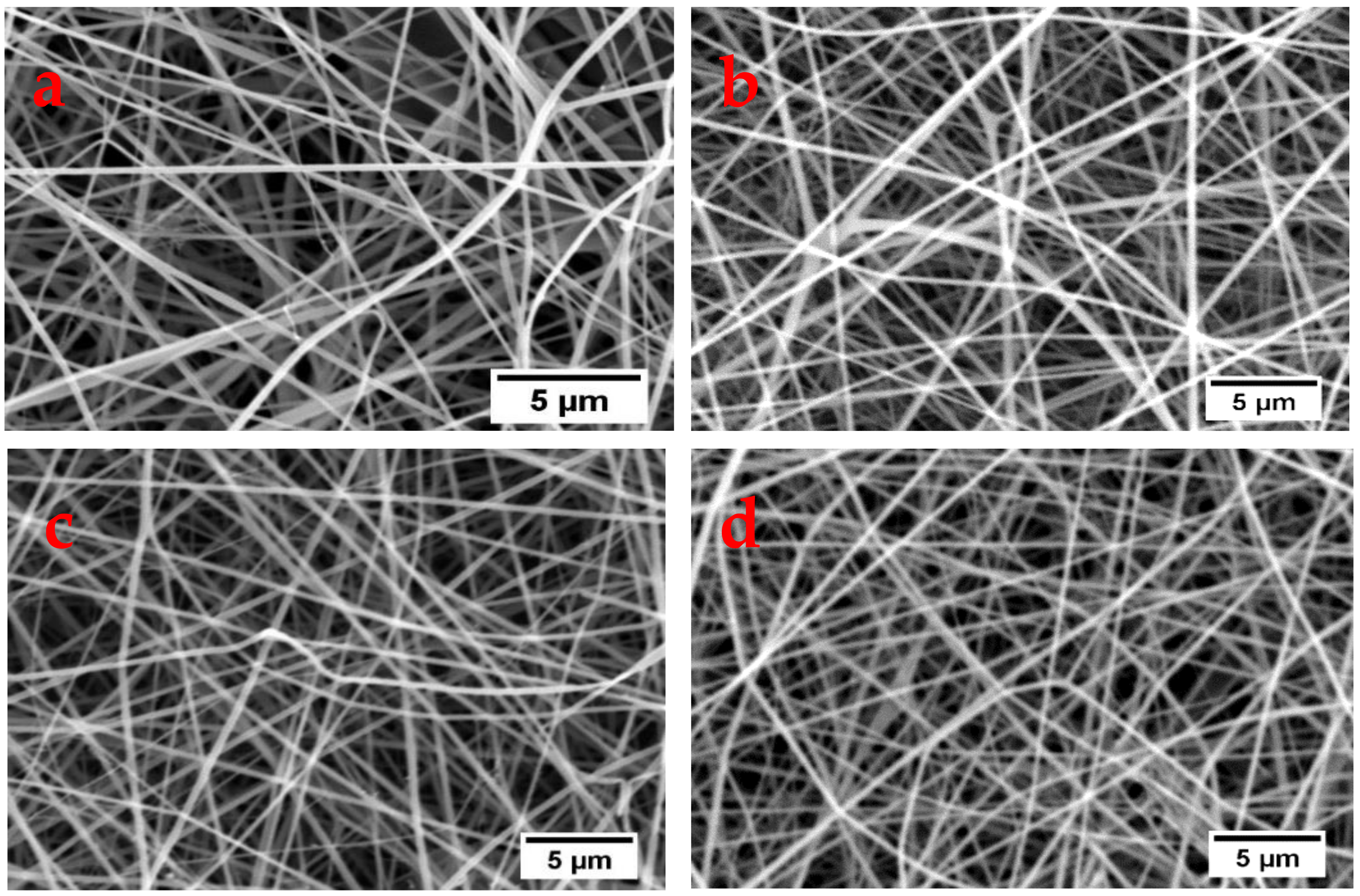 Polymers 13 00549 g009