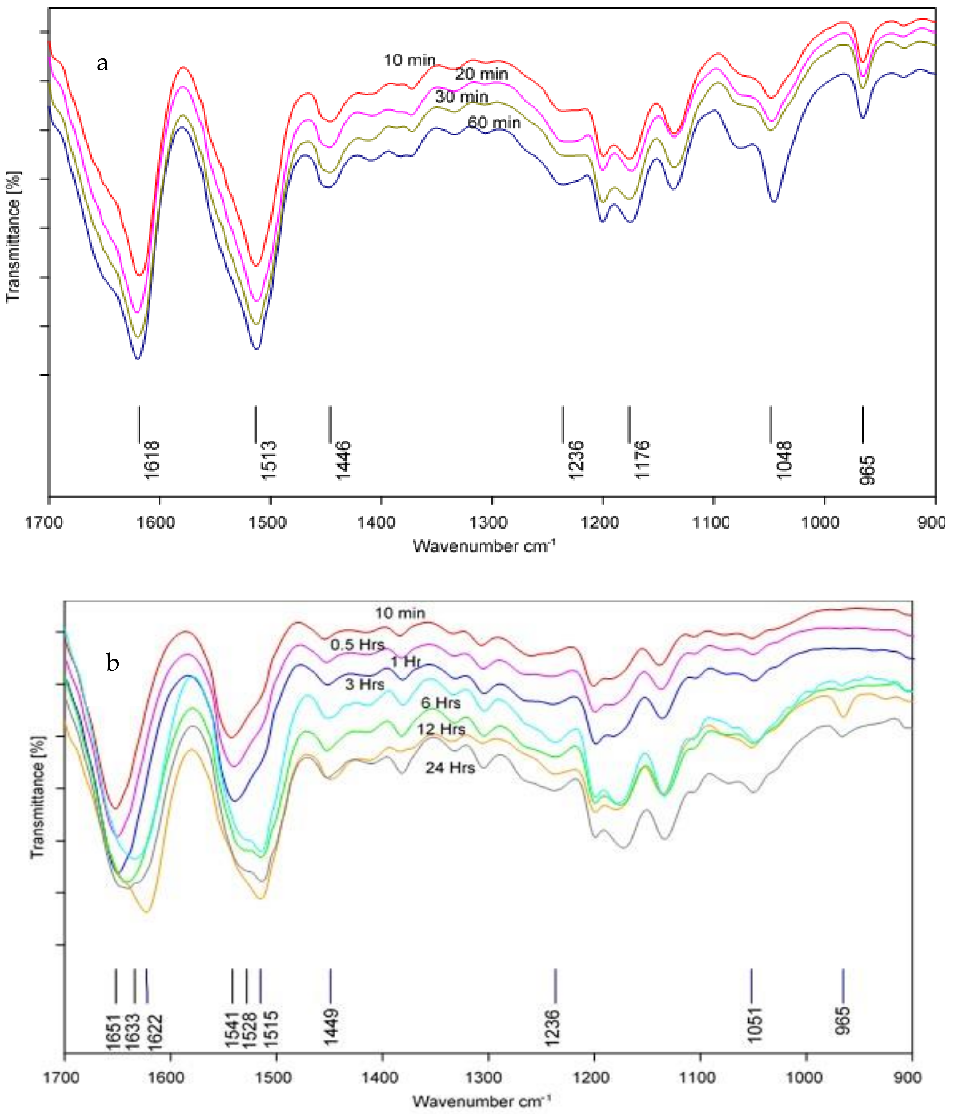 Polymers 13 00549 g018
