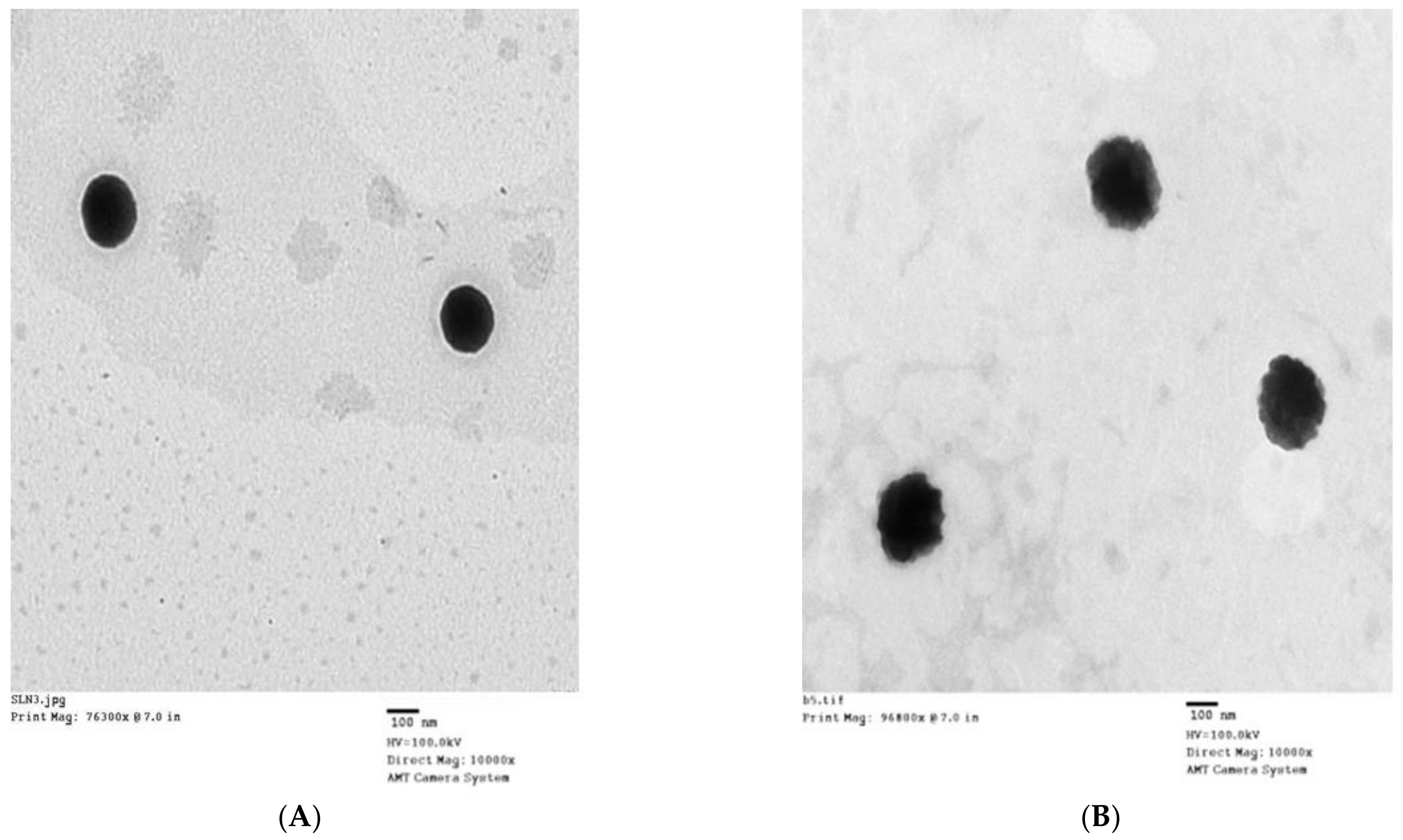 Polymers 13 00551 g004