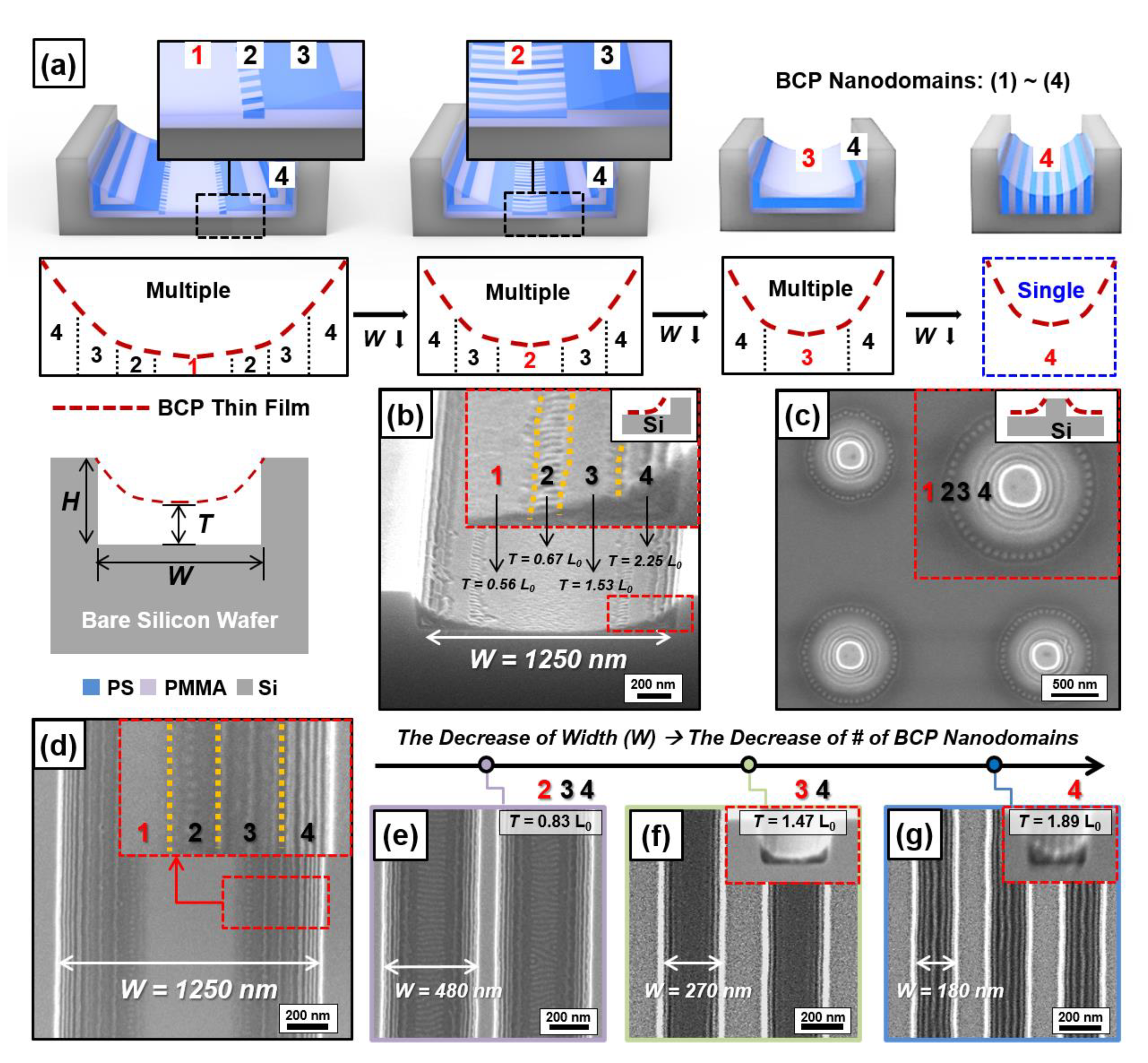 Polymers 13 00553 g001