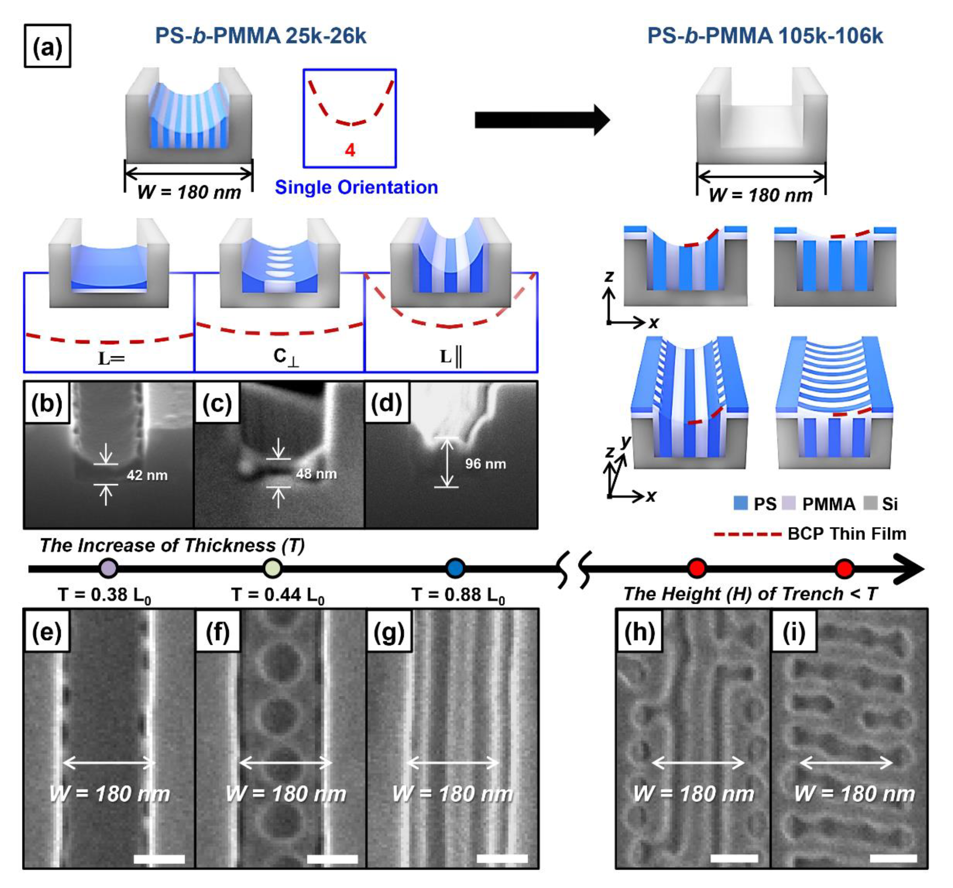 Polymers 13 00553 g002