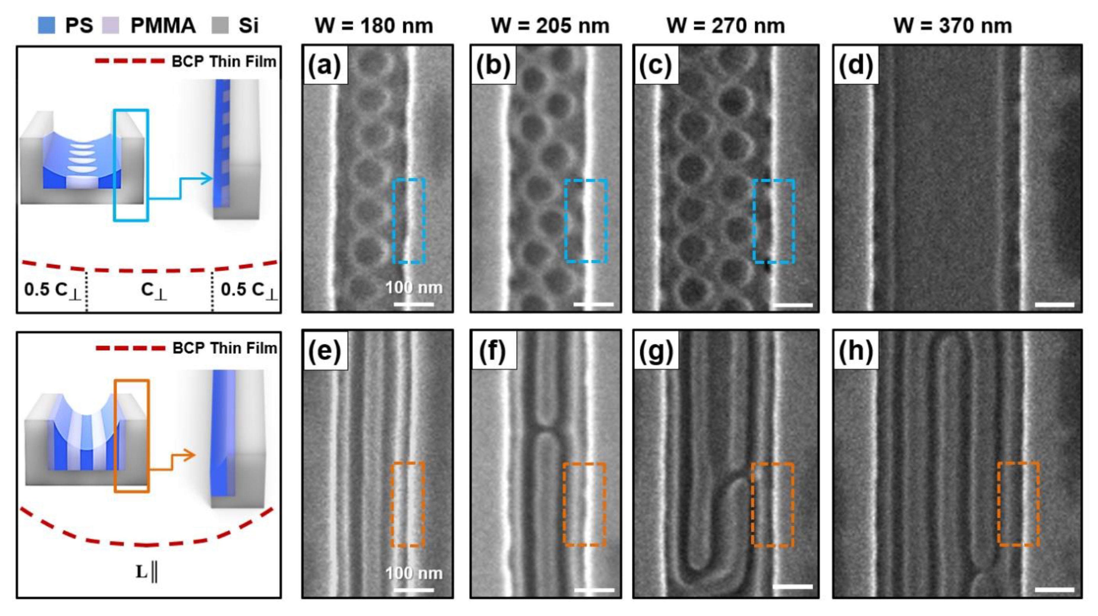 Polymers 13 00553 g003
