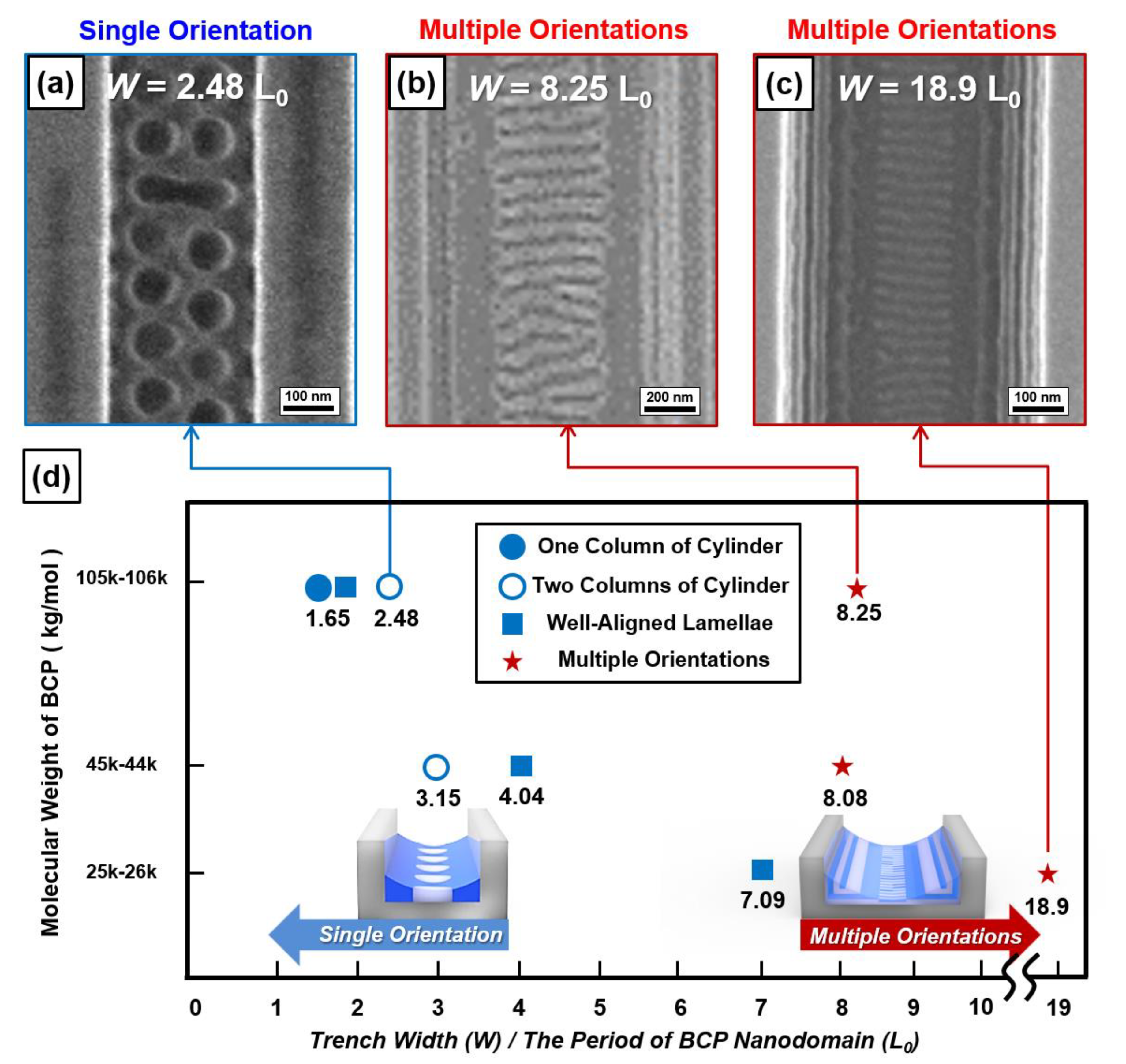 Polymers 13 00553 g004