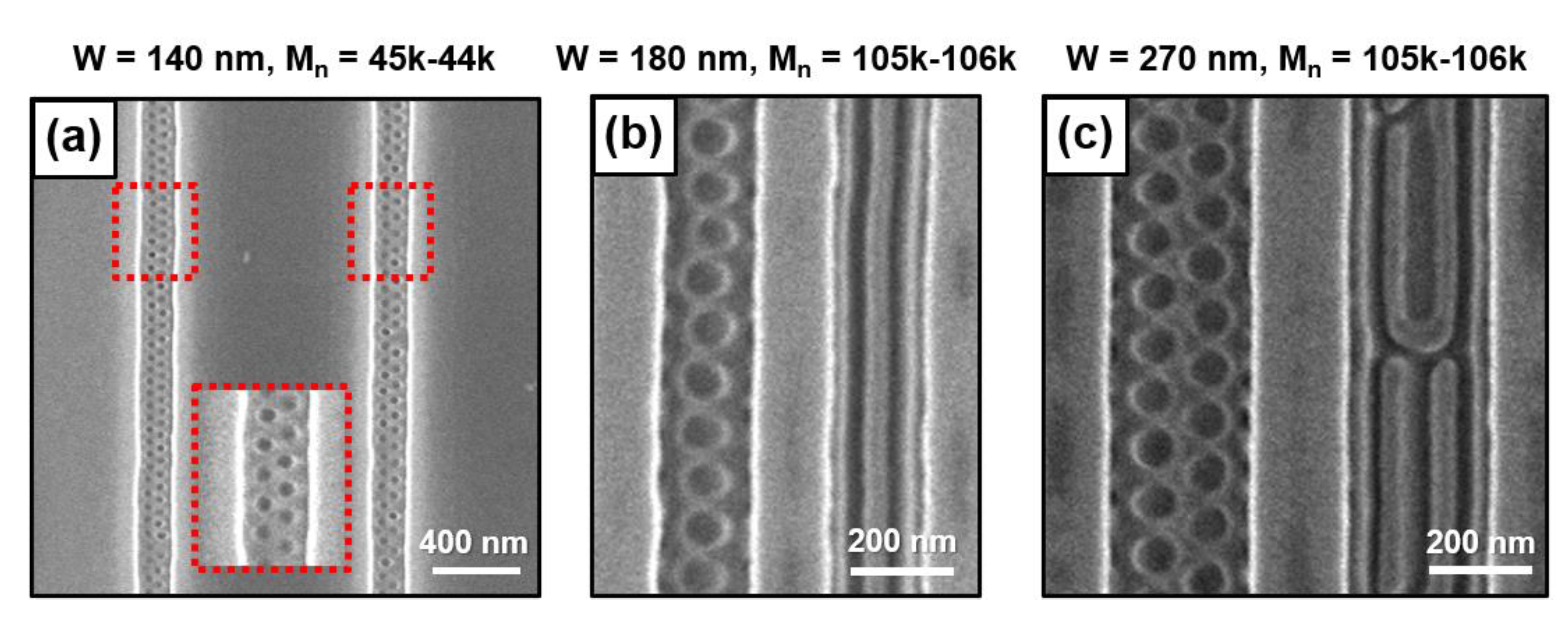 Polymers 13 00553 g005