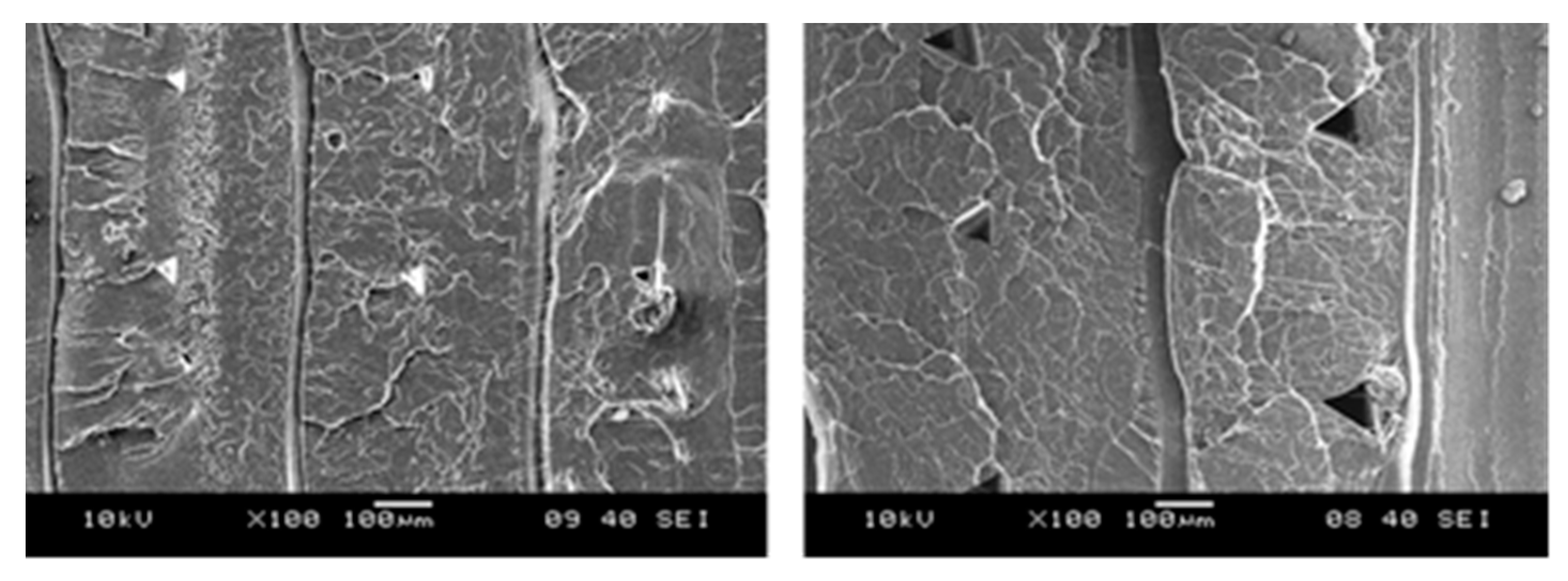 Polymers 13 00556 g006 Polymers 13 00556 g006