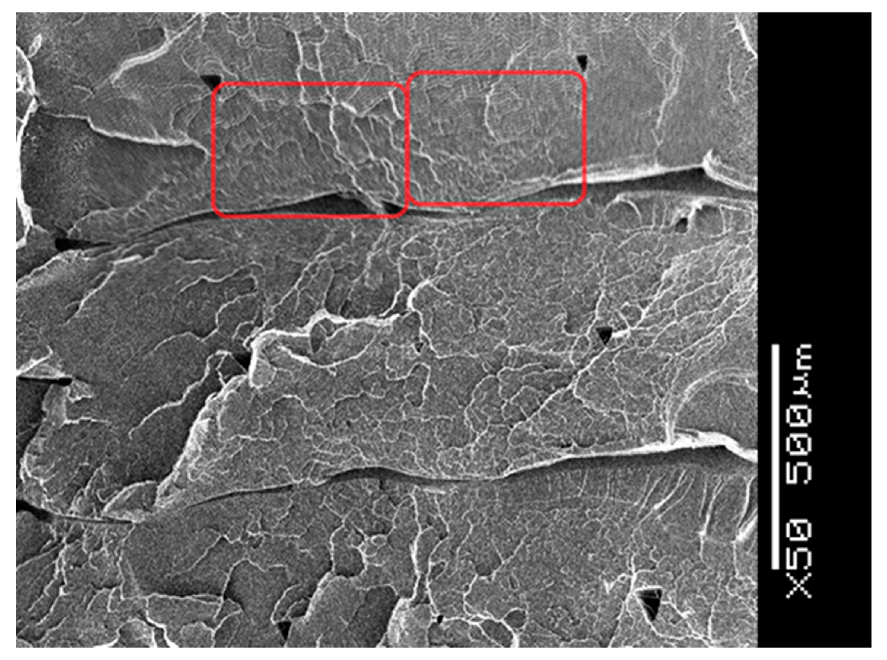 Polymers 13 00556 g011 Polymers 13 00556 g011