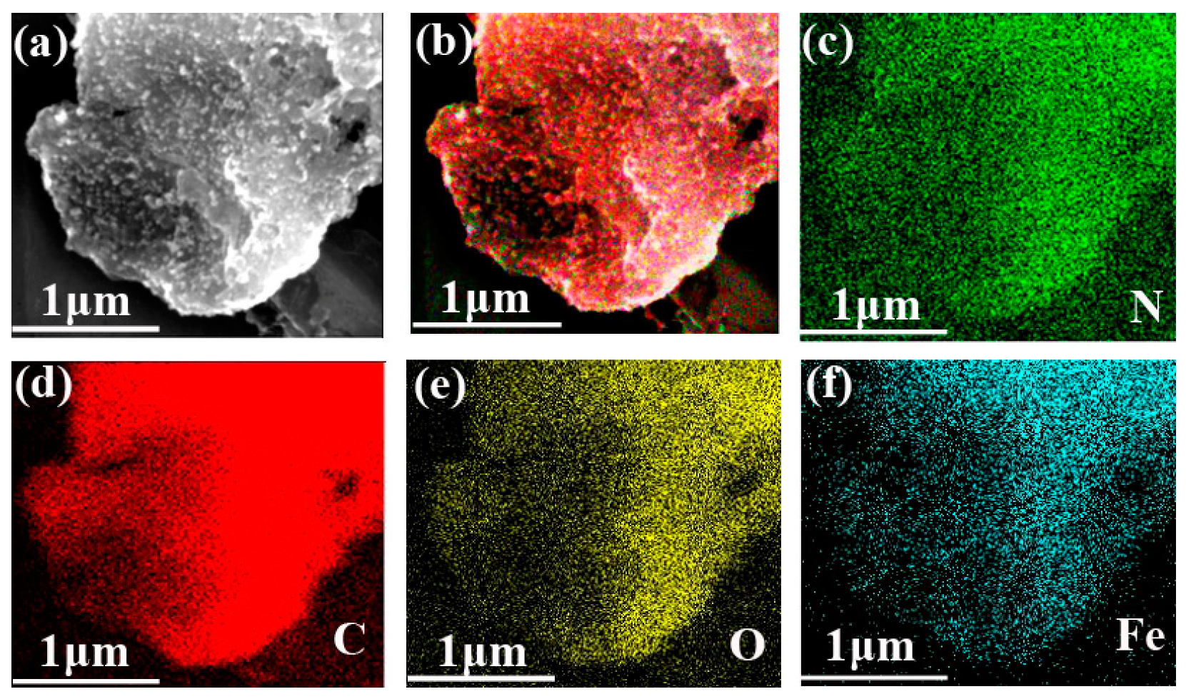 Polymers 13 00558 g002