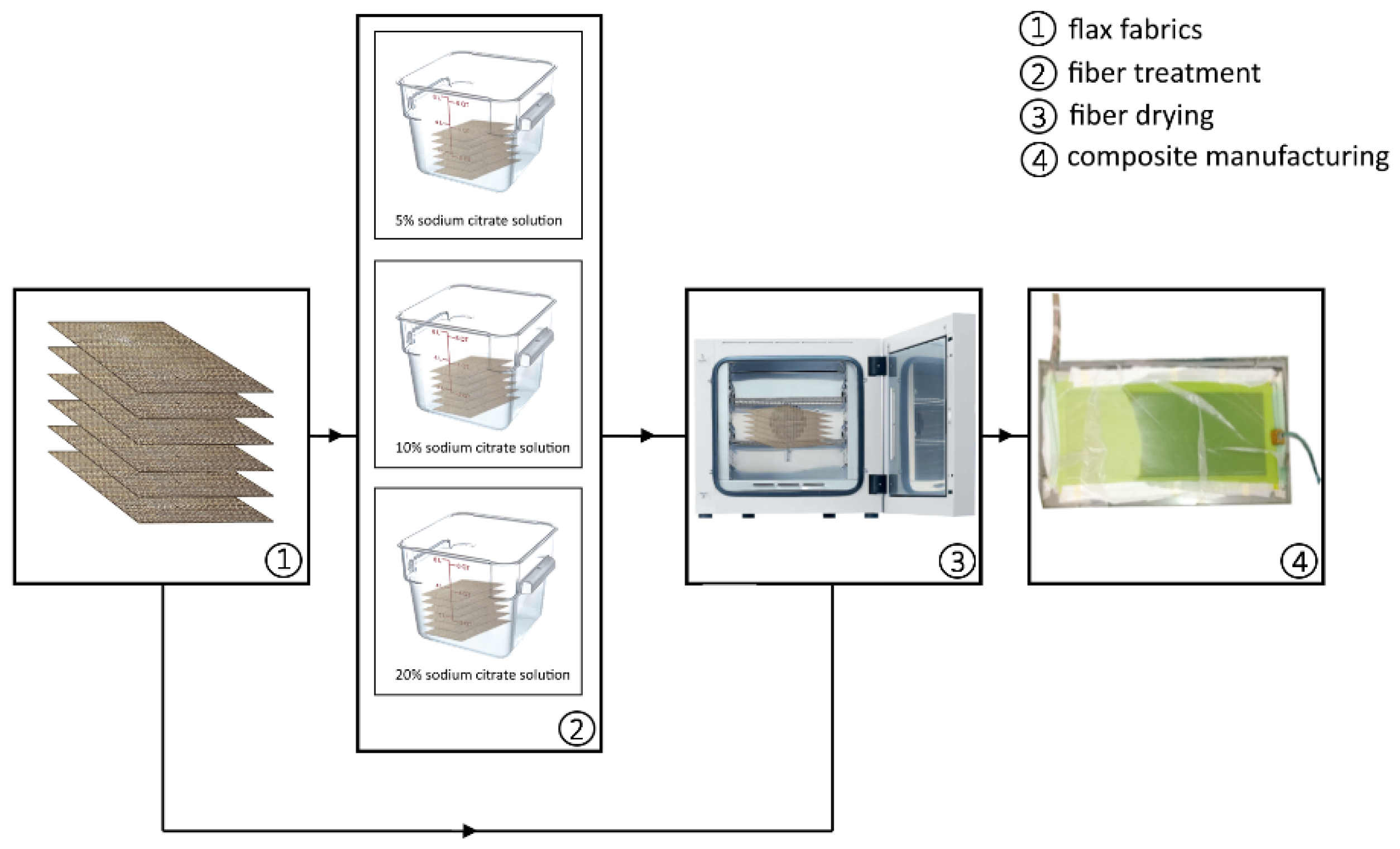Polymers 13 00559 g001