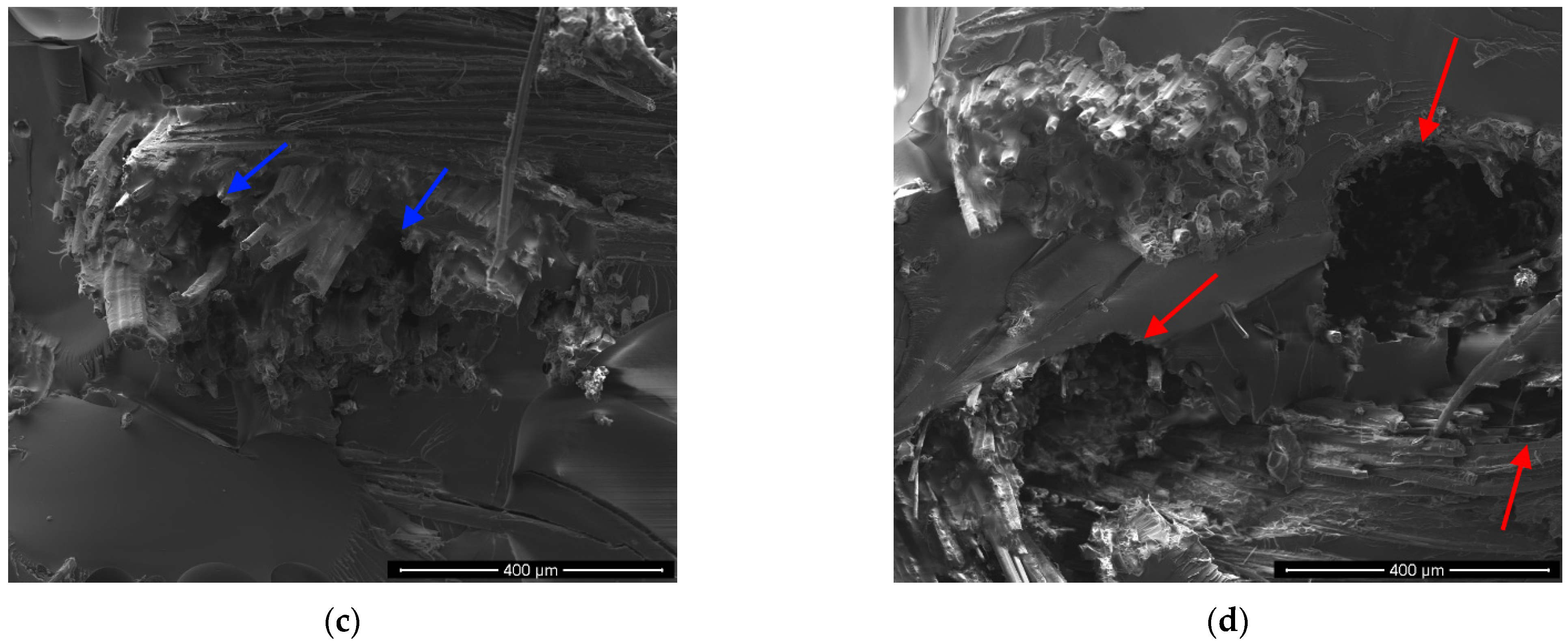 Polymers 13 00559 g009b