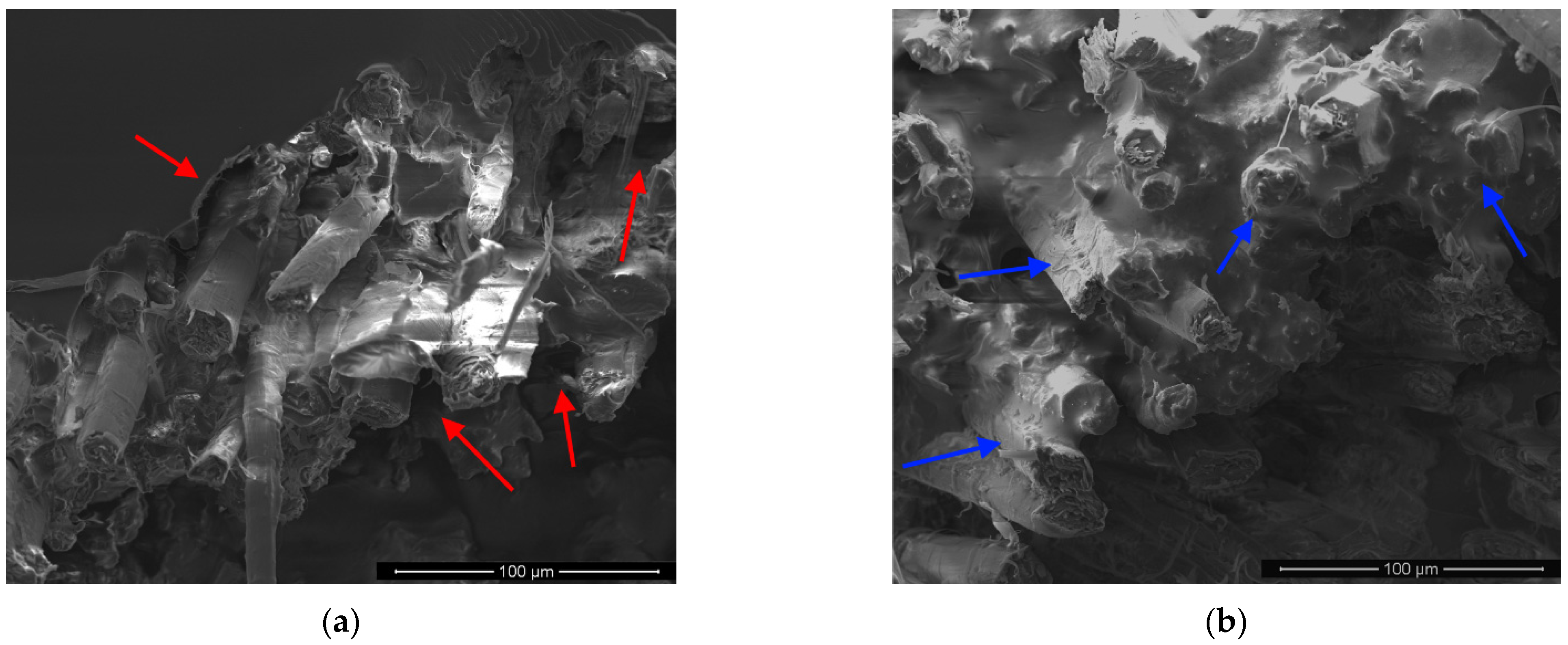 Polymers 13 00559 g010a