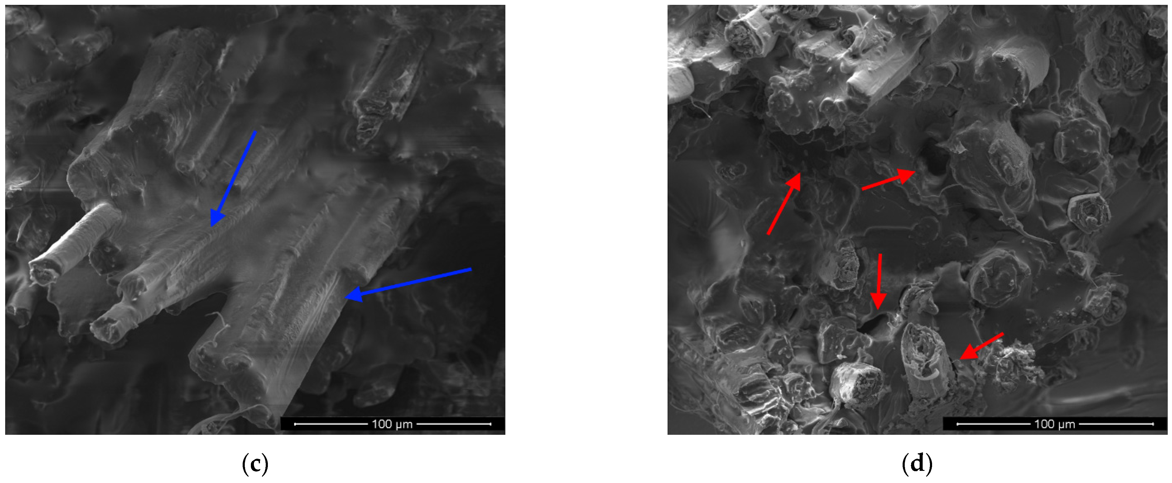 Polymers 13 00559 g010b