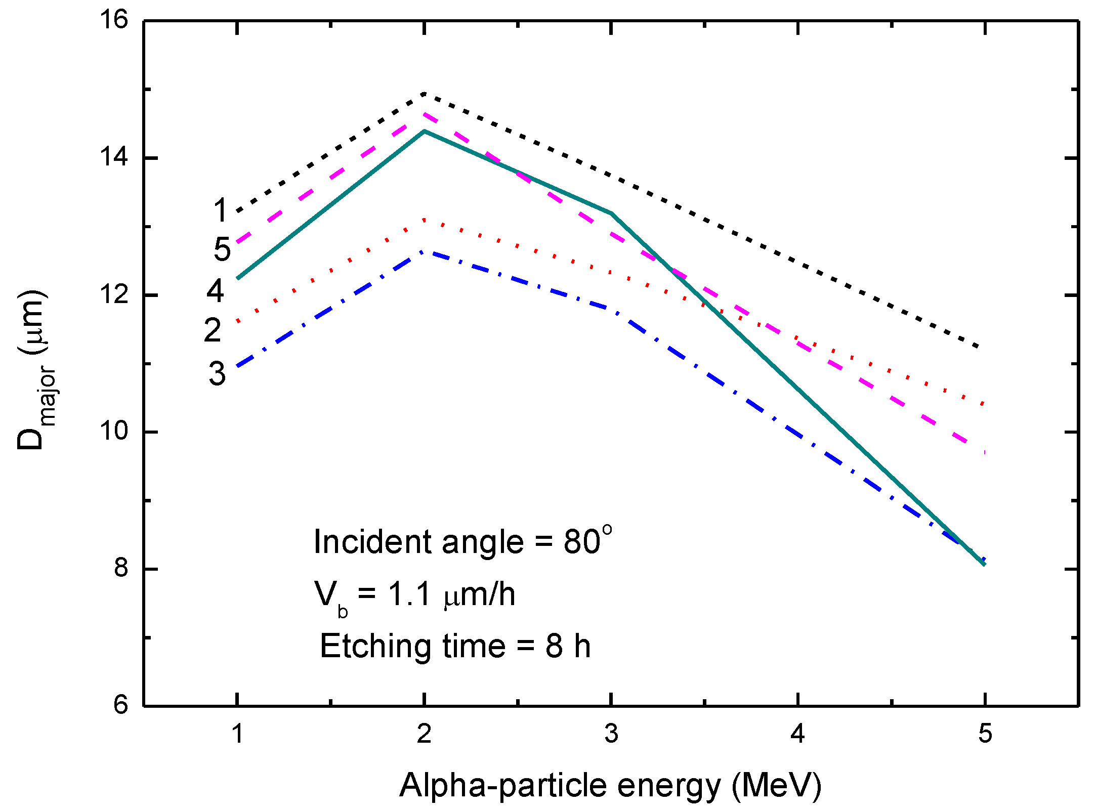 Polymers 13 00560 g001
