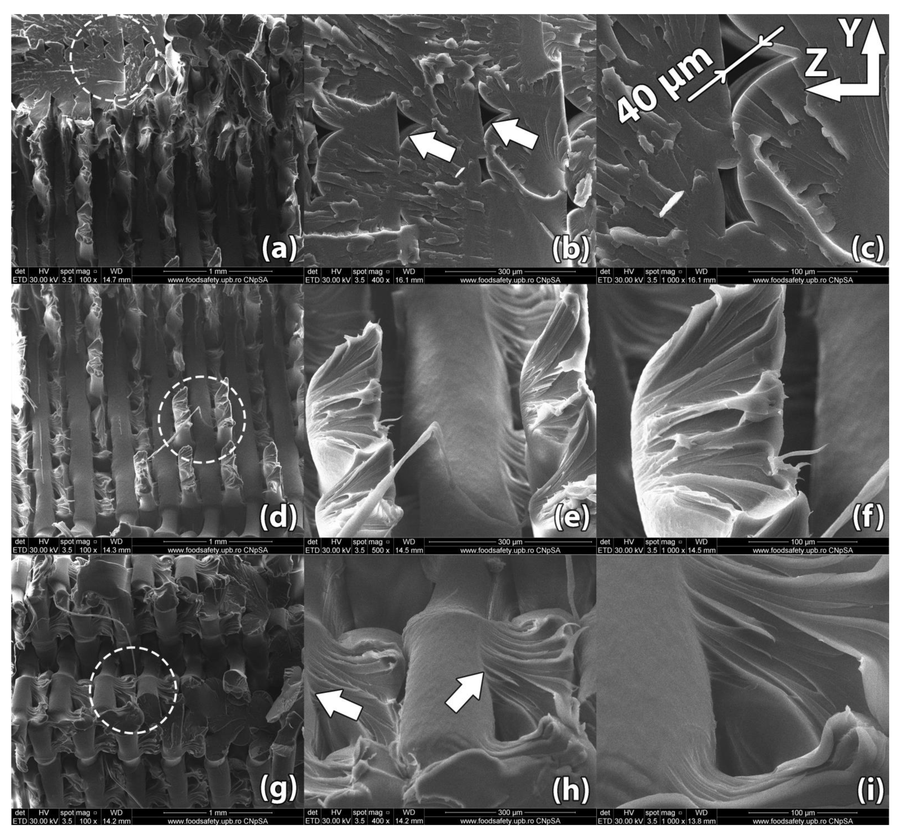 Polymers 13 00562 g008 Polymers 13 00562 g008