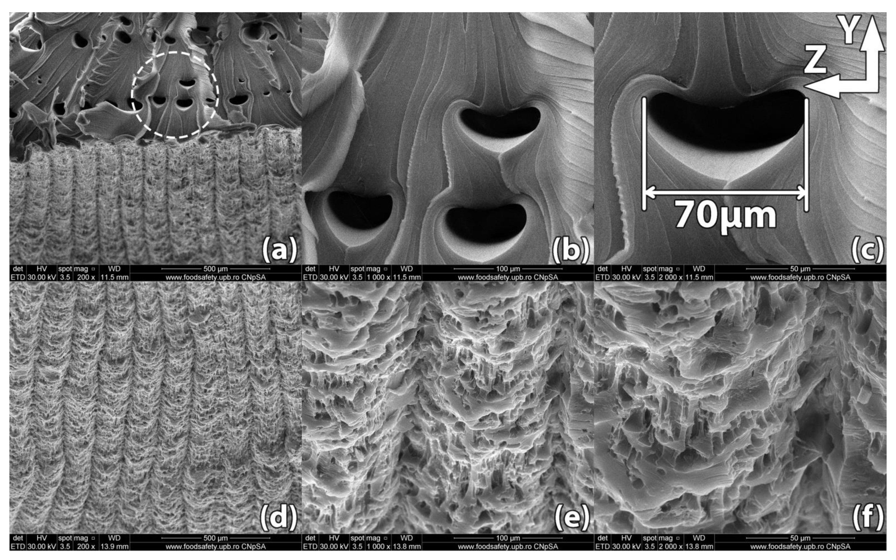 Polymers 13 00562 g010 Polymers 13 00562 g010