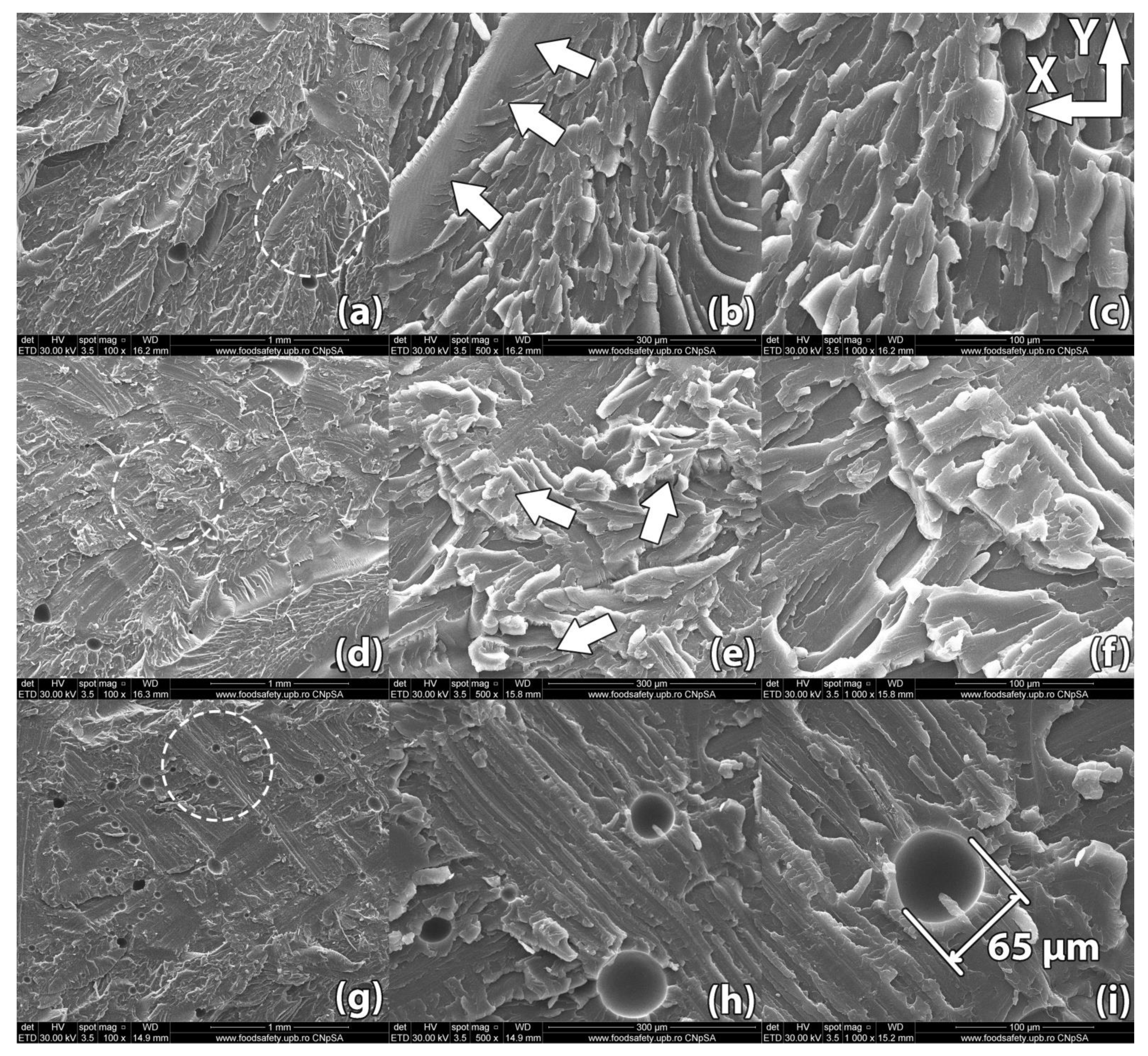 Polymers 13 00562 g012 Polymers 13 00562 g012