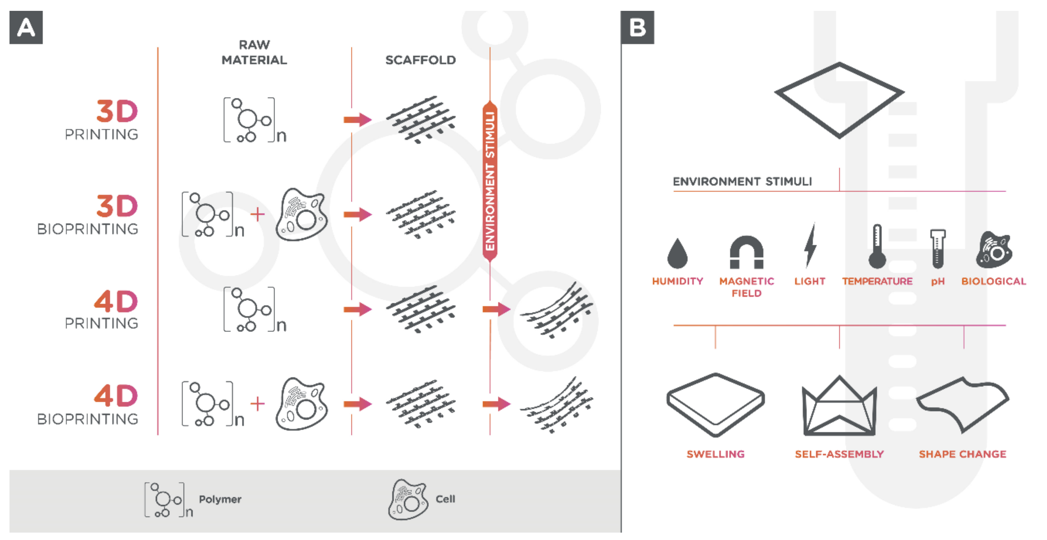 Polymers 13 00563 g001