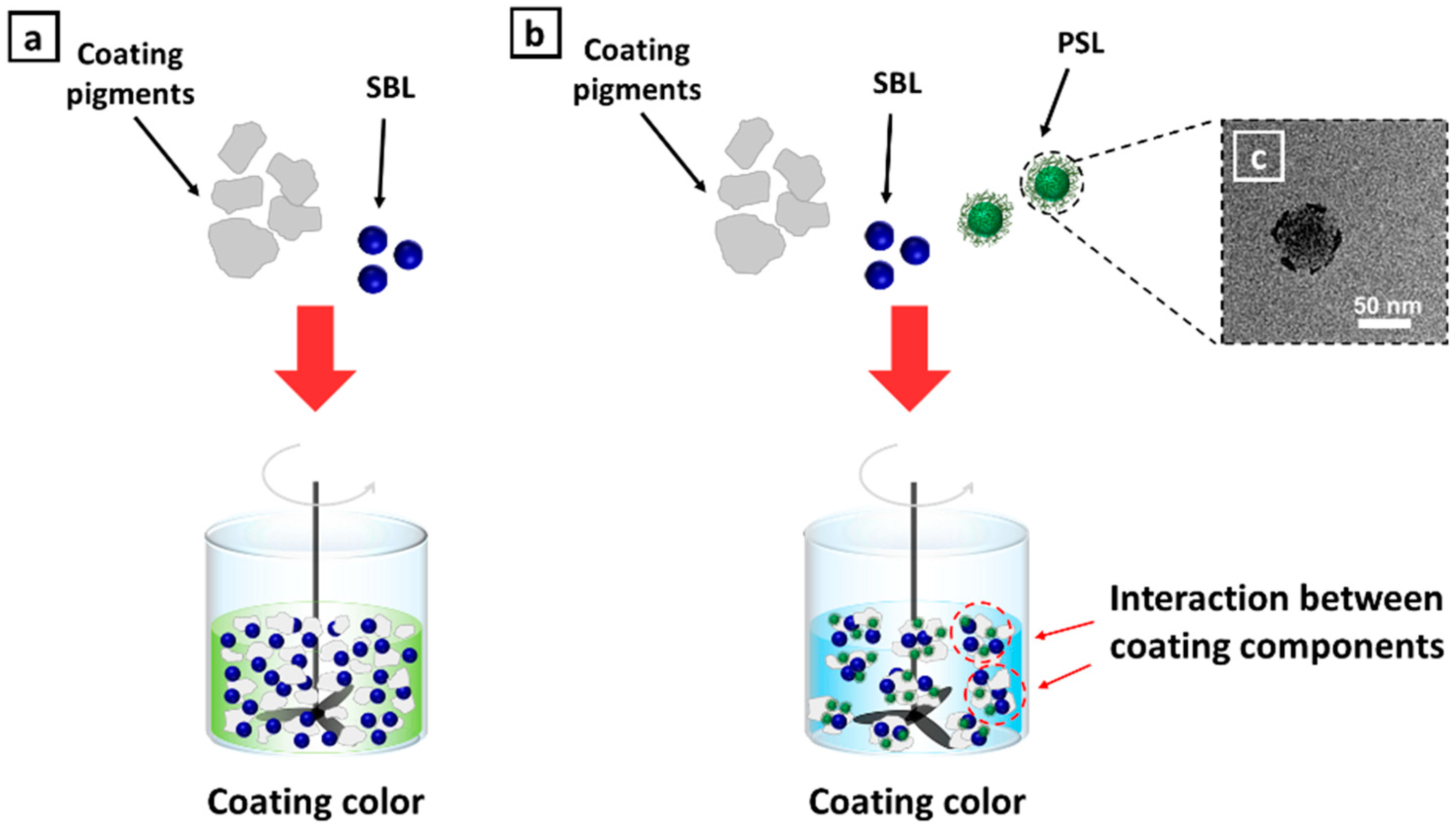 Polymers 13 00568 g002