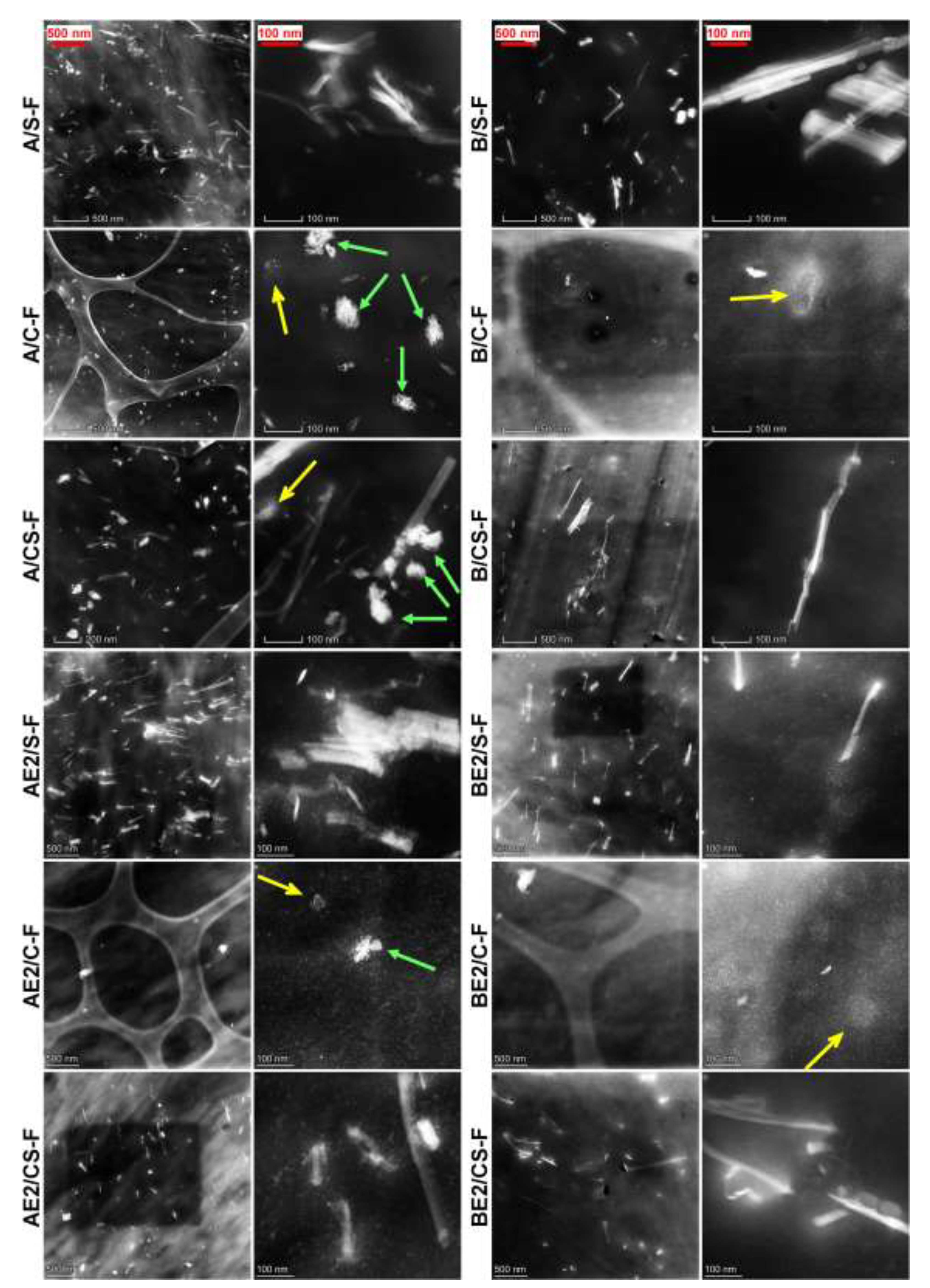 Polymers 13 00571 g001 Polymers 13 00571 g001