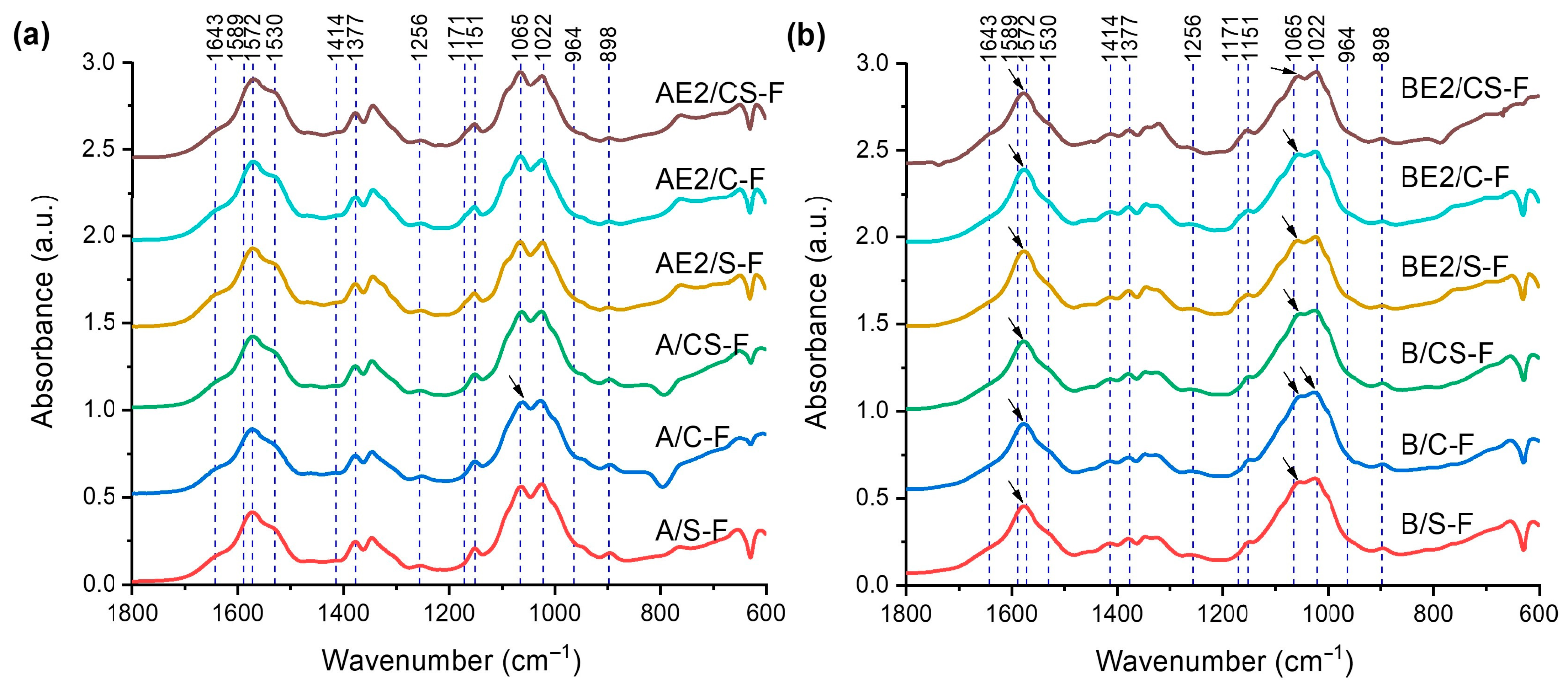 Polymers 13 00571 g002 Polymers 13 00571 g002