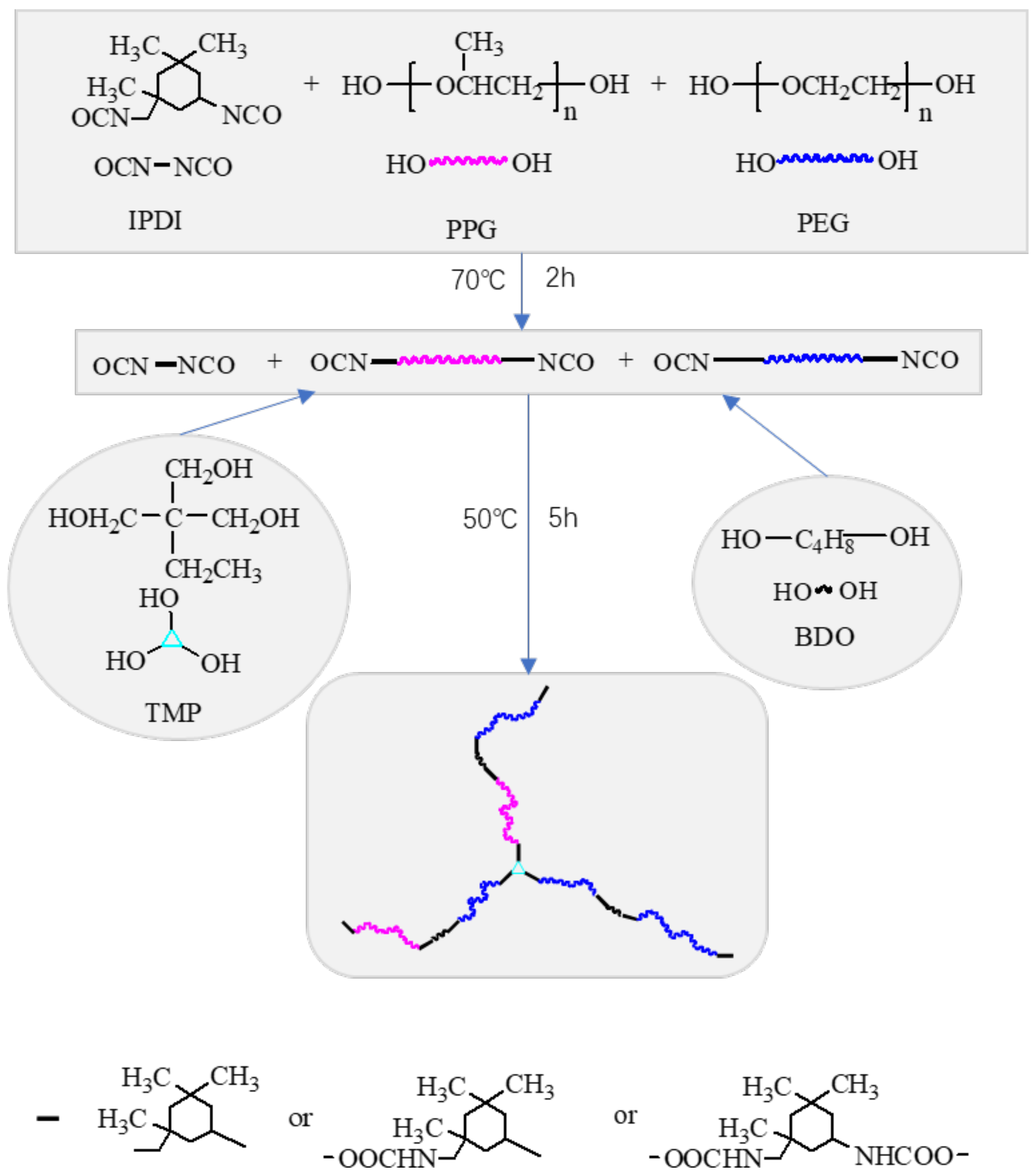 Polymers 13 00573 g003
