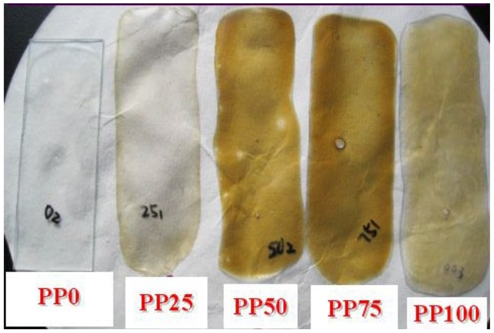 Polymers 13 00573 g005