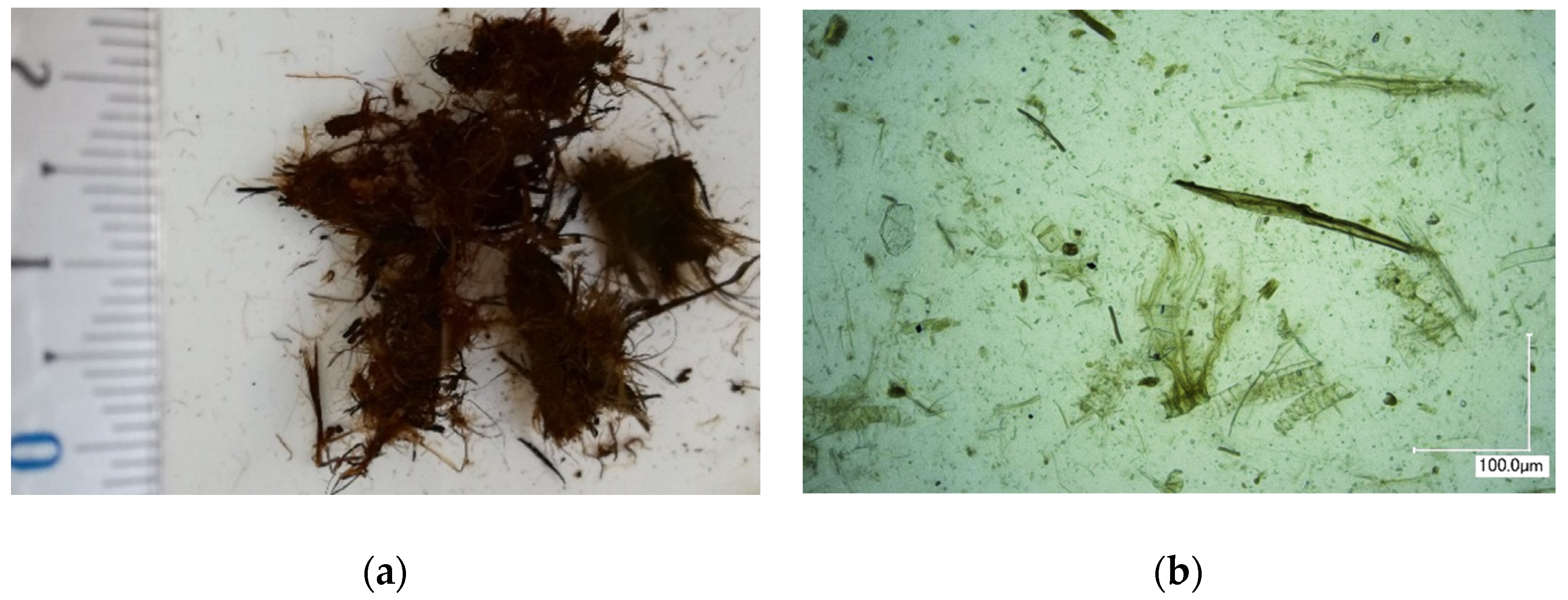 Polymers 13 00574 g002