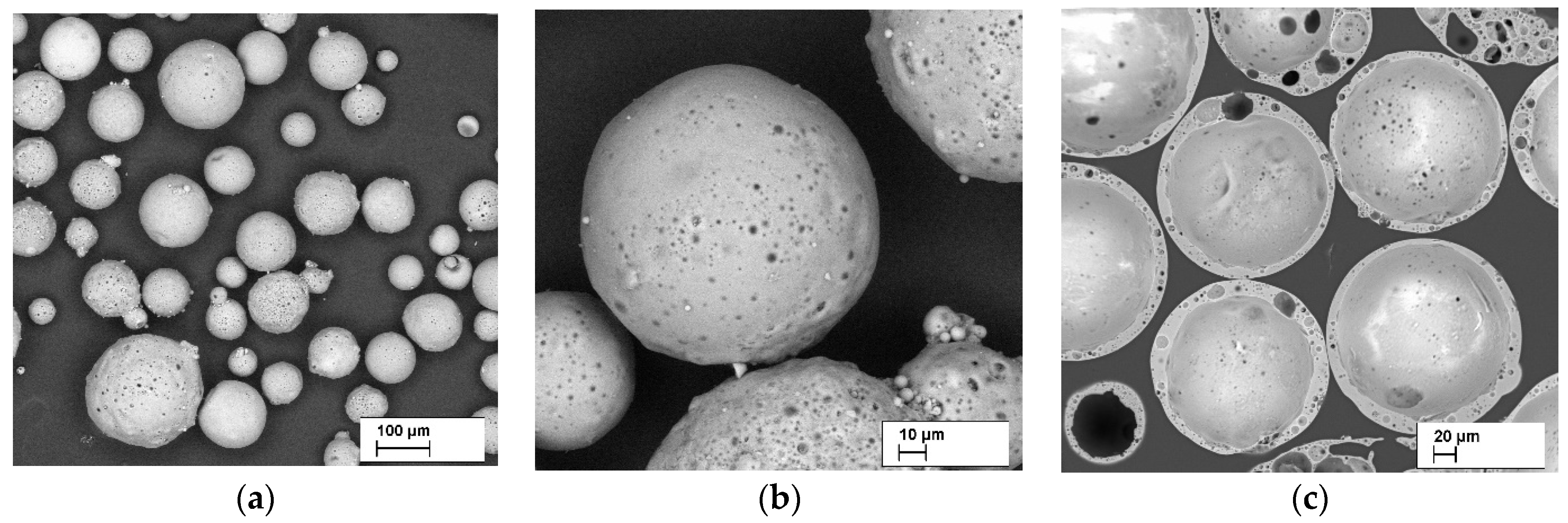 Polymers 13 00574 g004