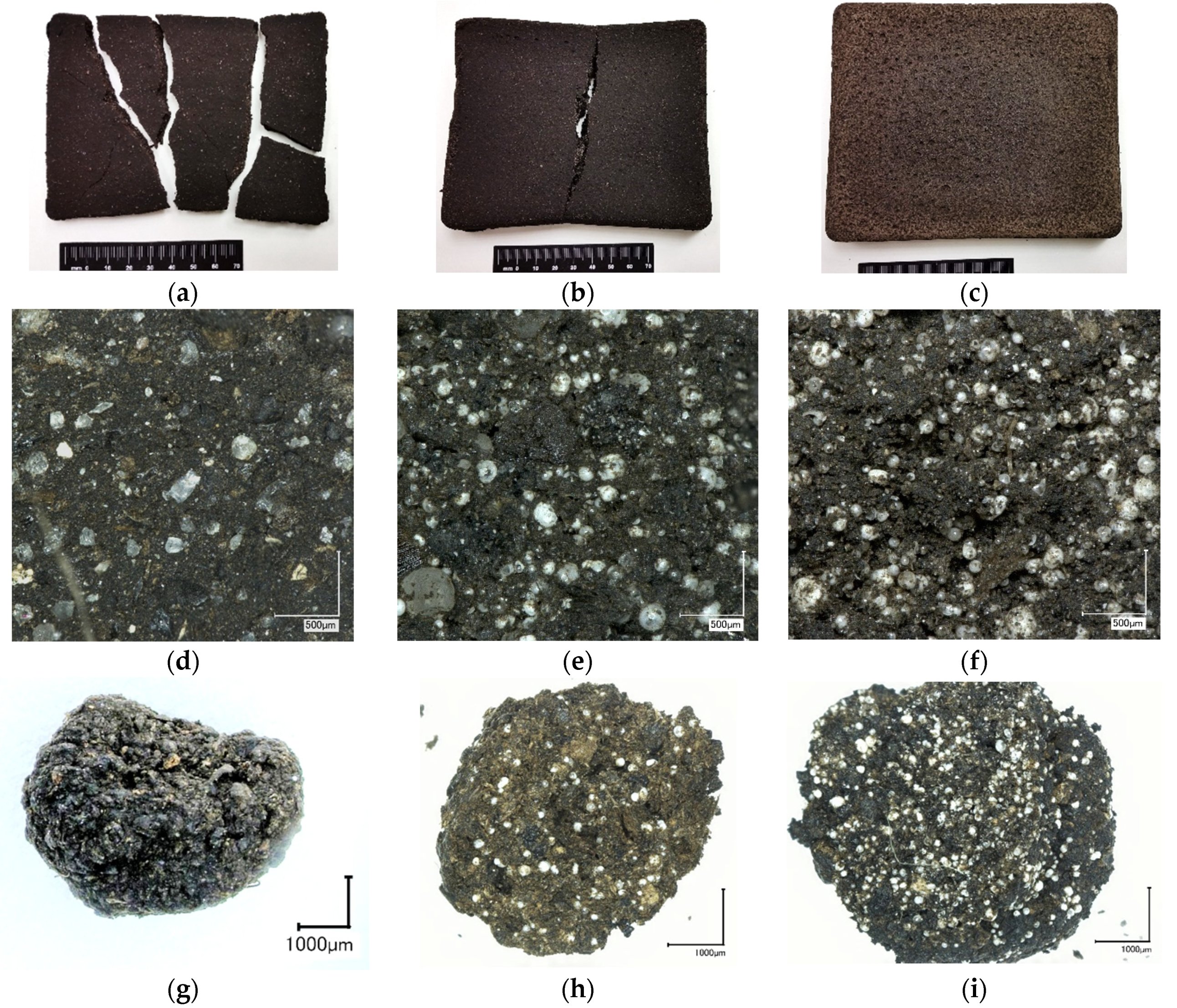 Polymers 13 00574 g007