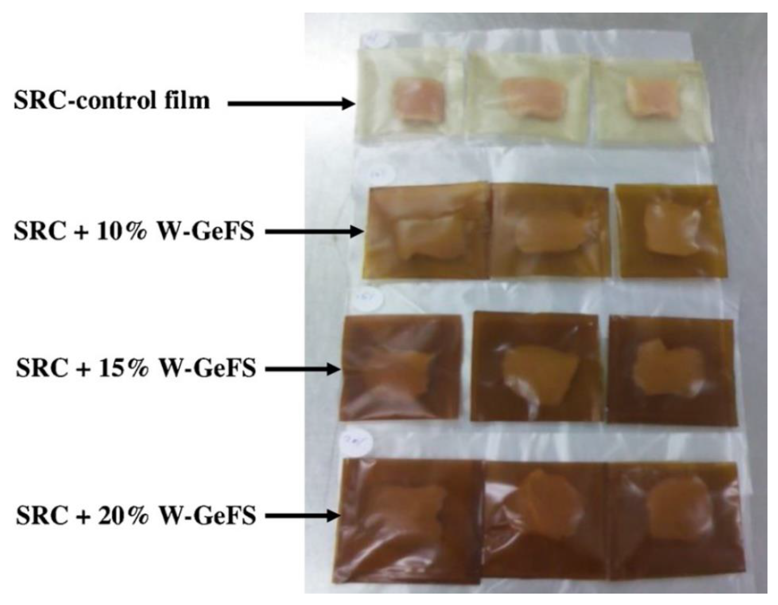 Polymers 13 00575 g001