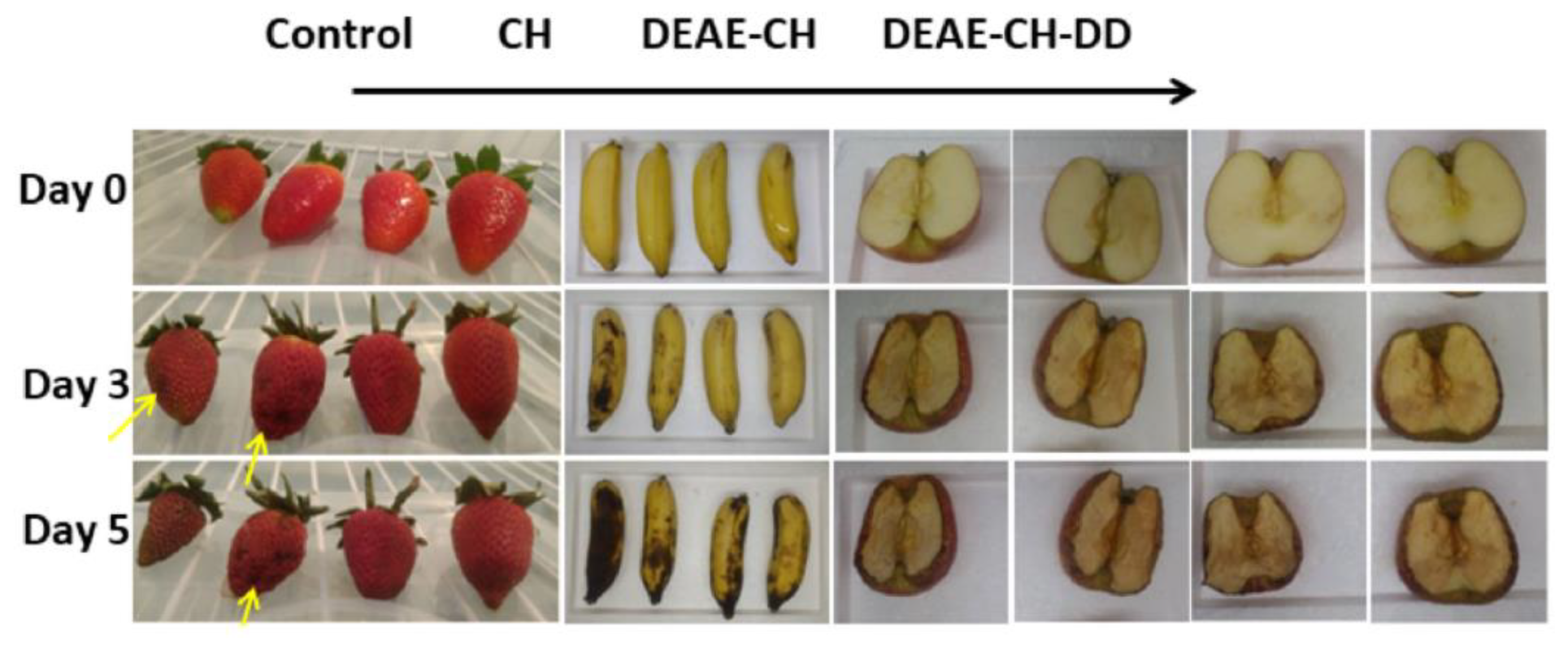 Polymers 13 00575 g002