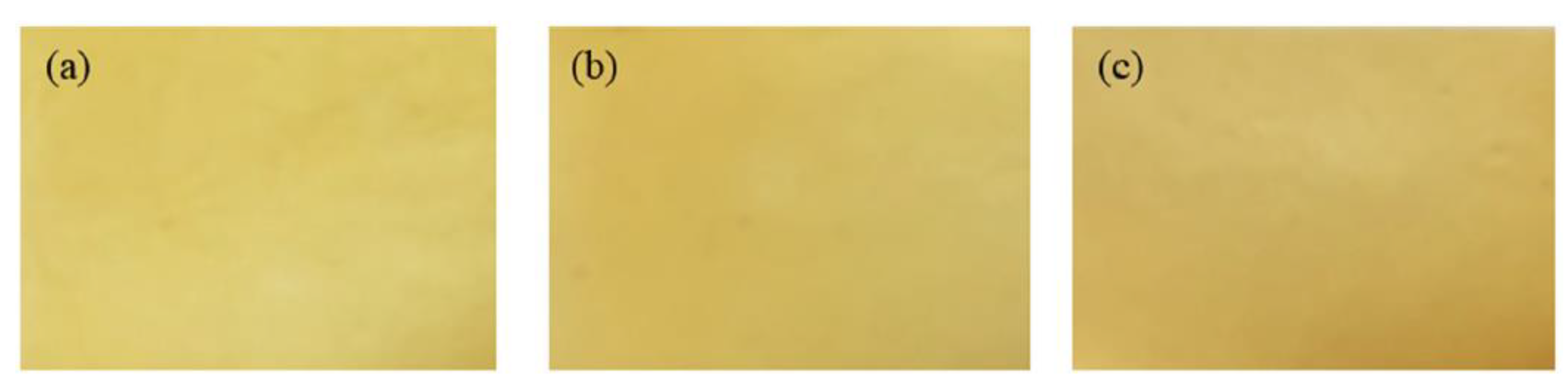 Polymers 13 00575 g006