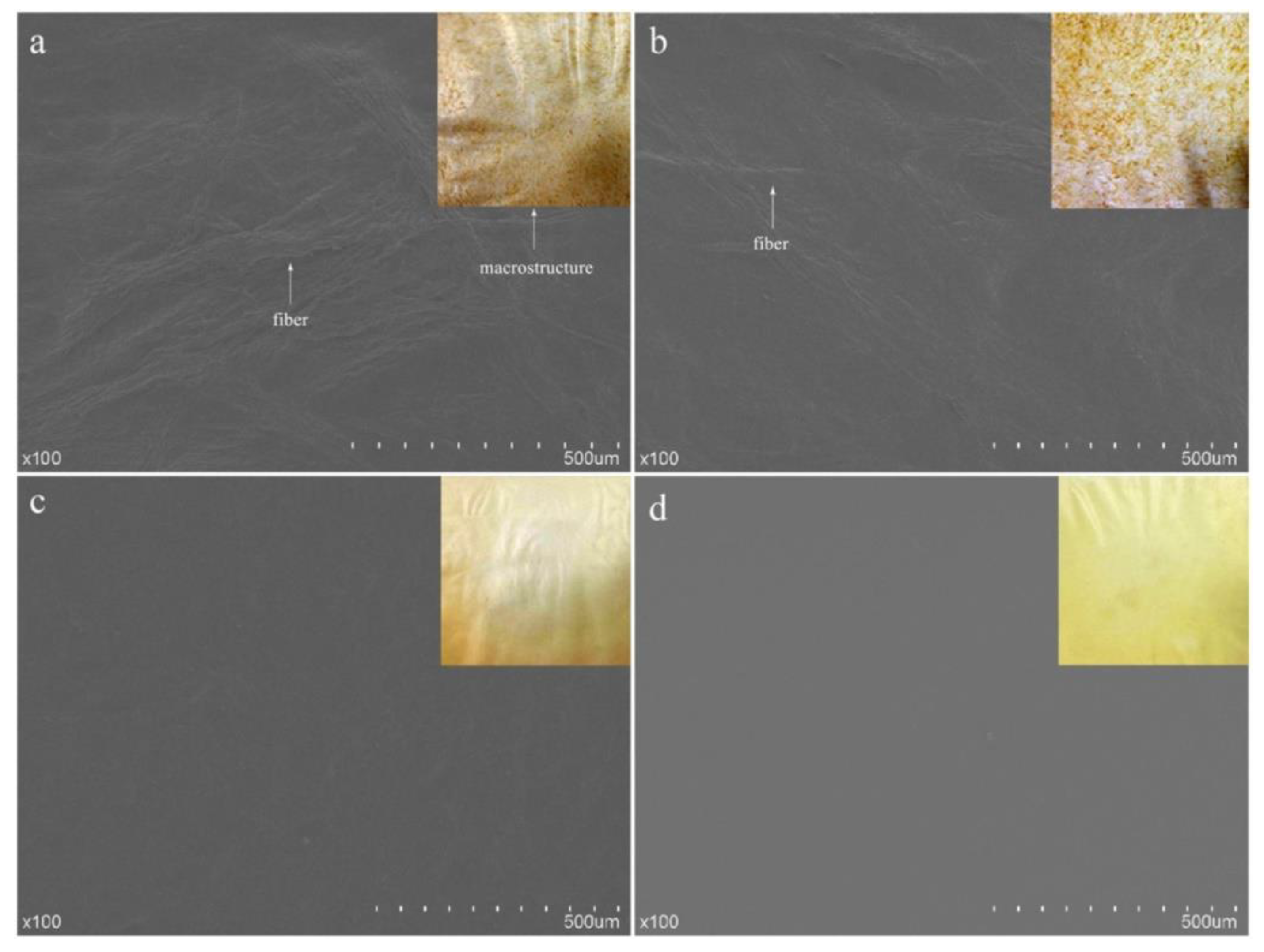 Polymers 13 00575 g008