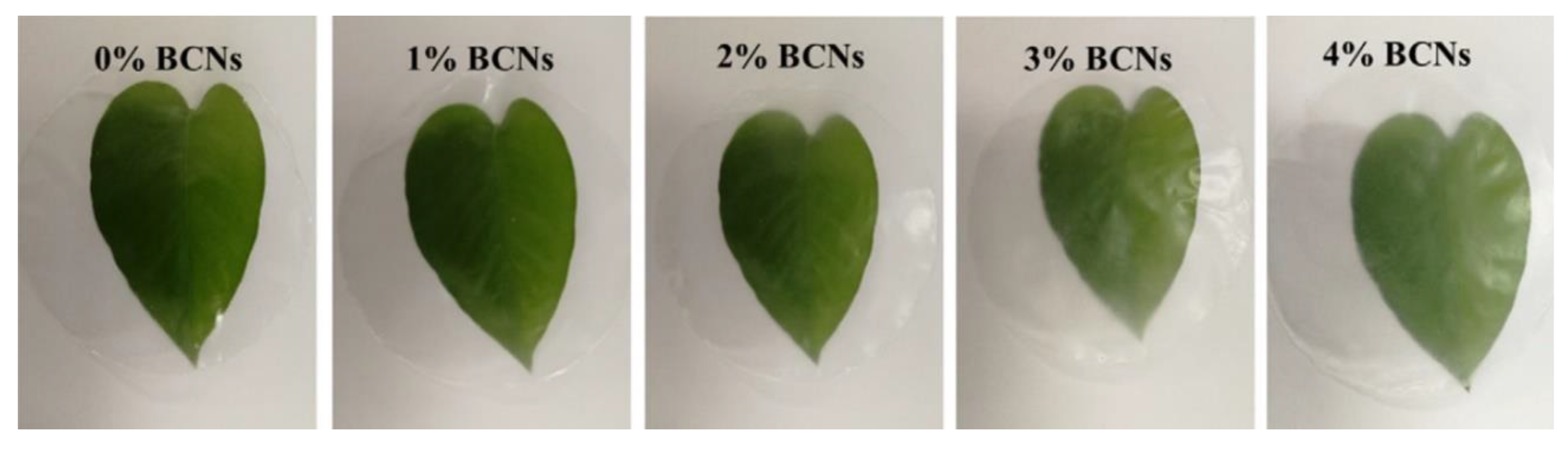 Polymers 13 00575 g009