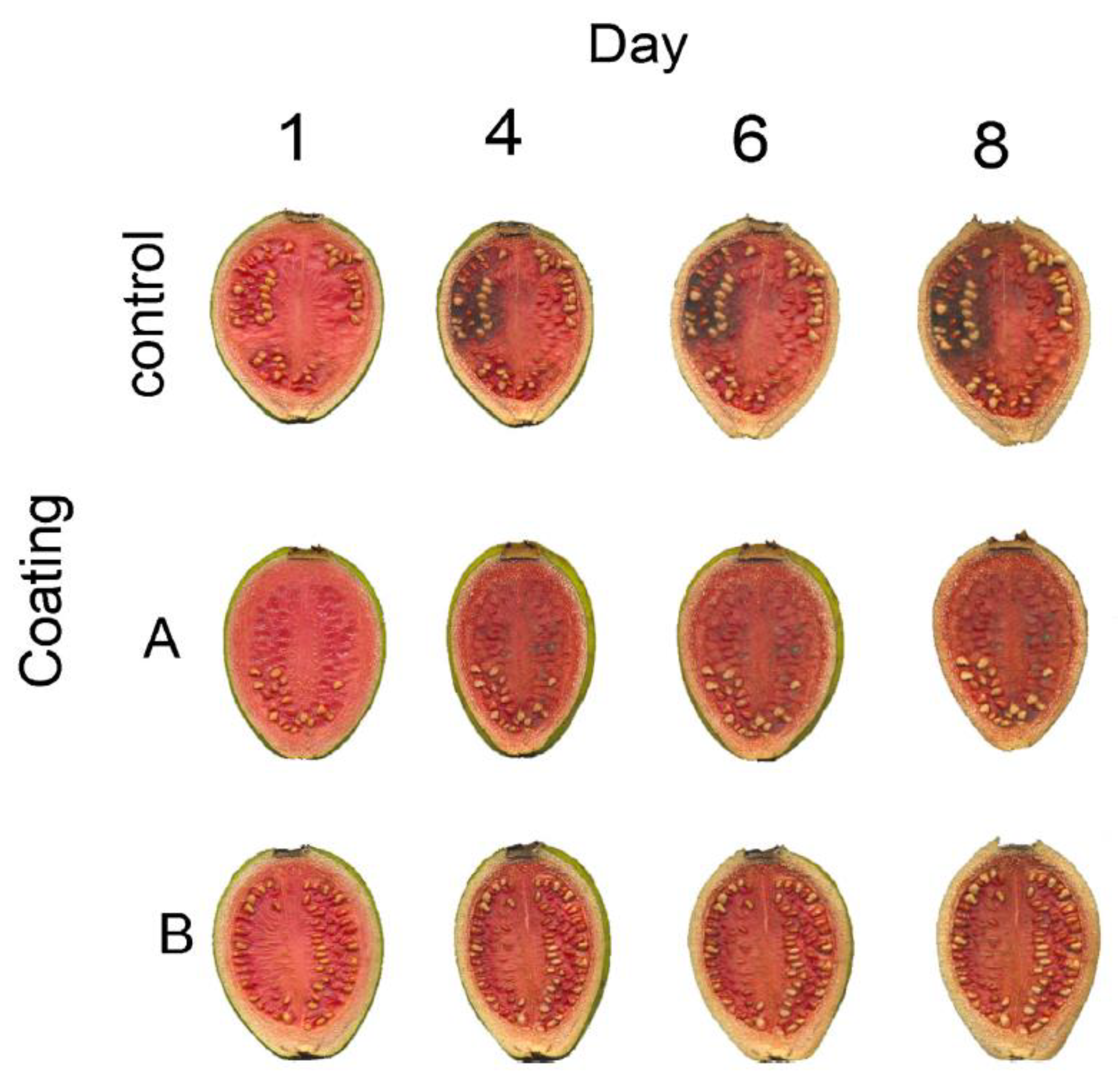 Polymers 13 00575 g010