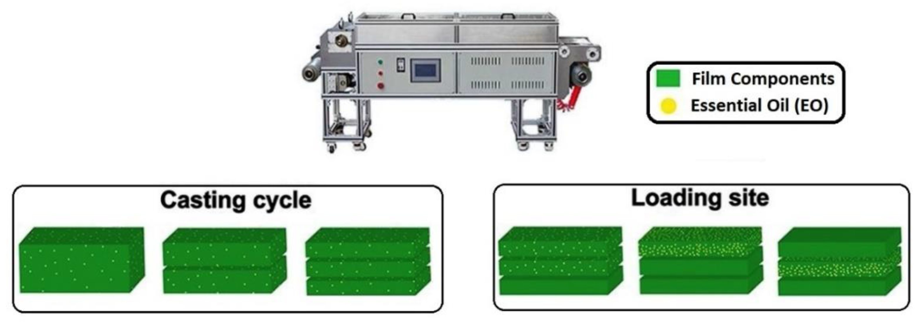 Polymers 13 00575 g015