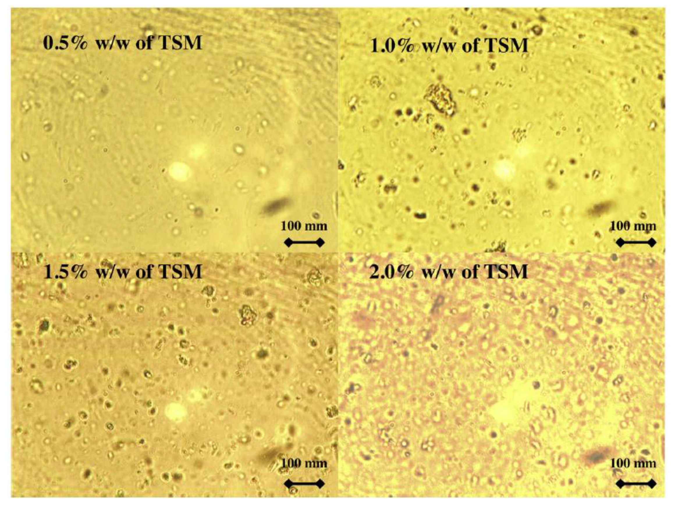 Polymers 13 00575 g017