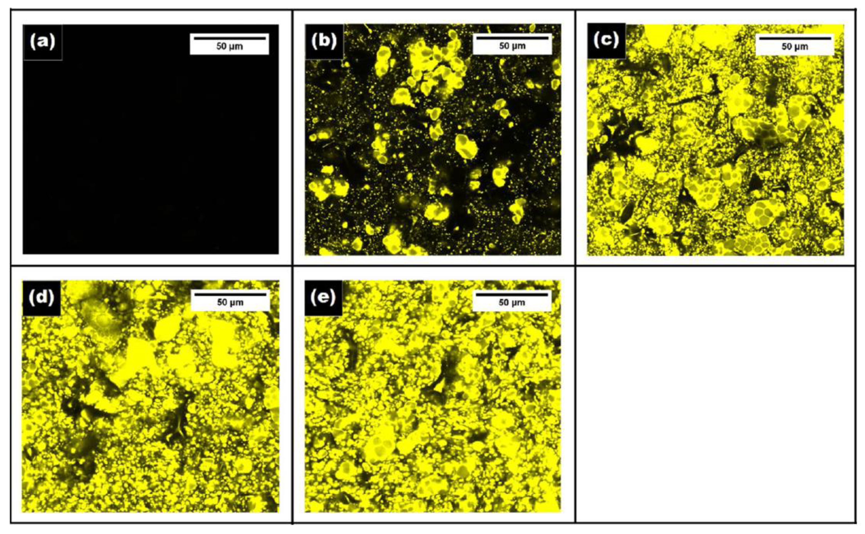 Polymers 13 00575 g019