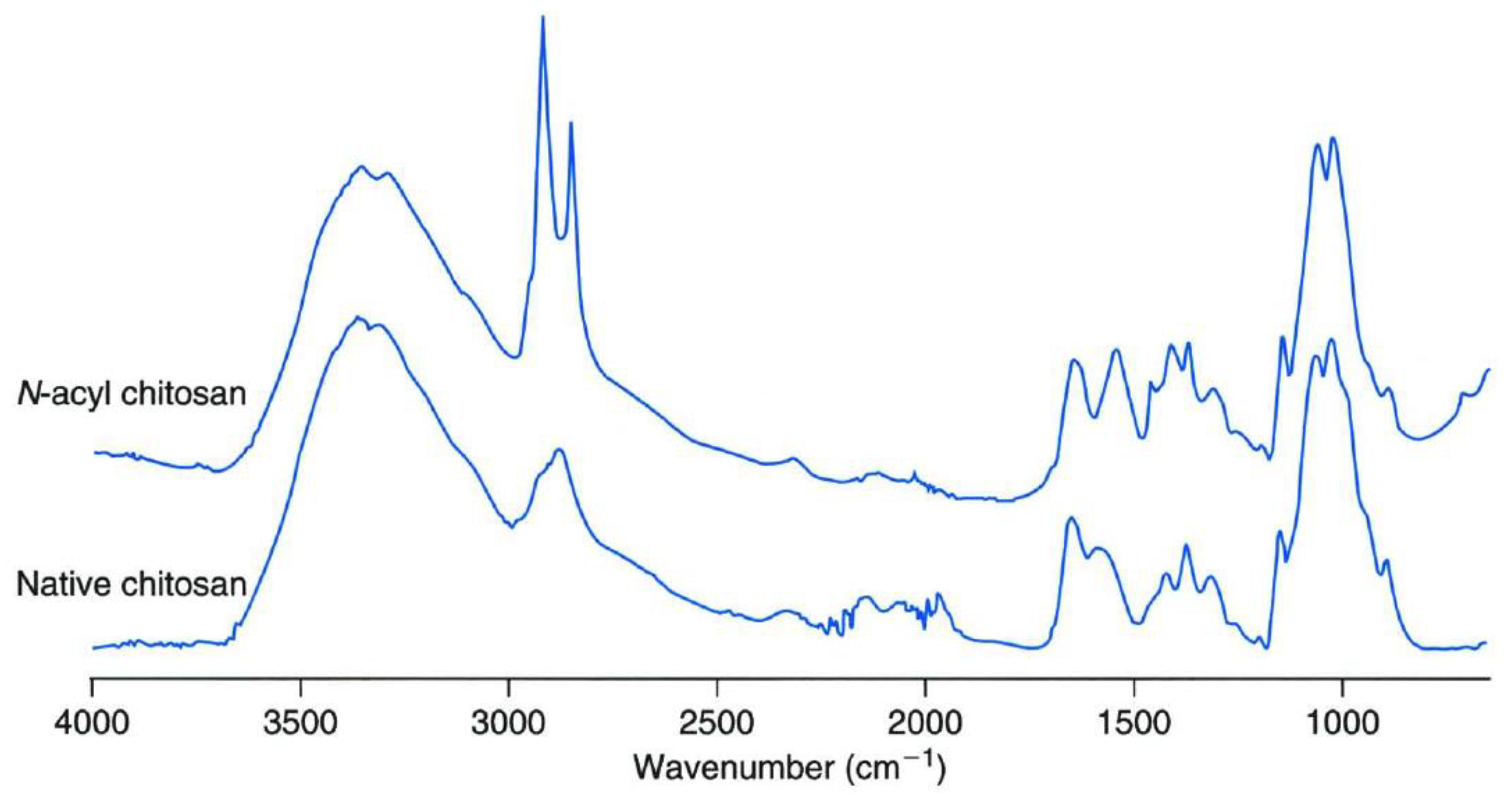 Polymers 13 00575 g020