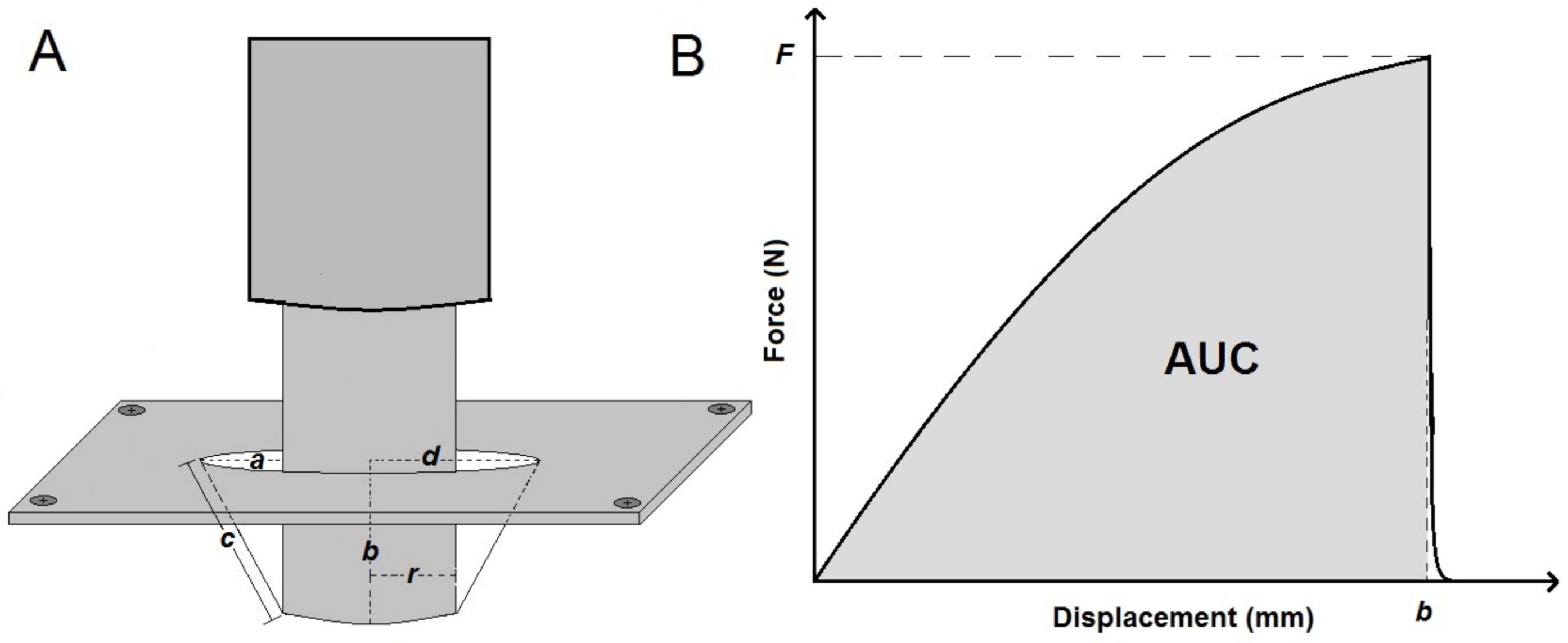 Polymers 13 00578 g001