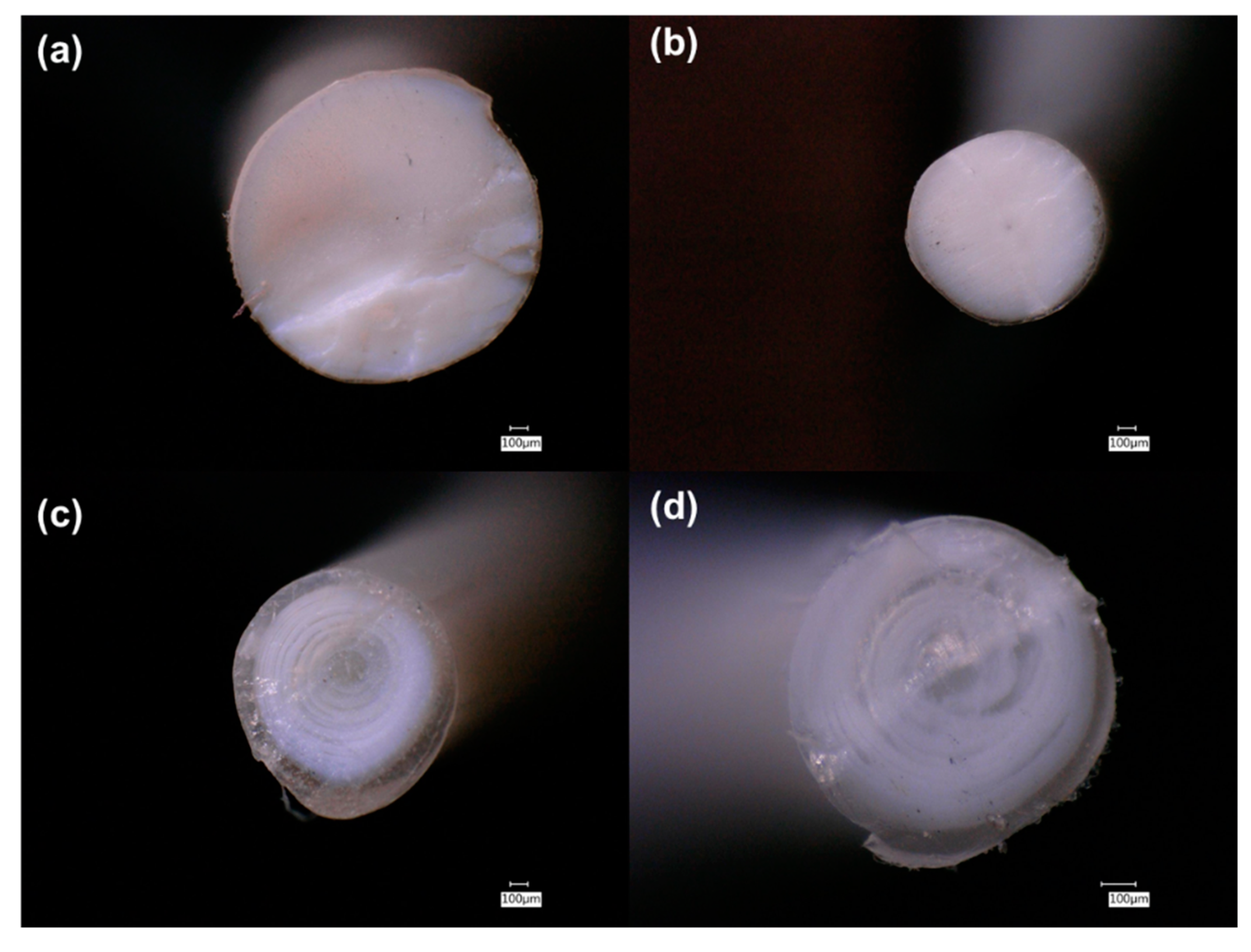 Polymers 13 00580 g001