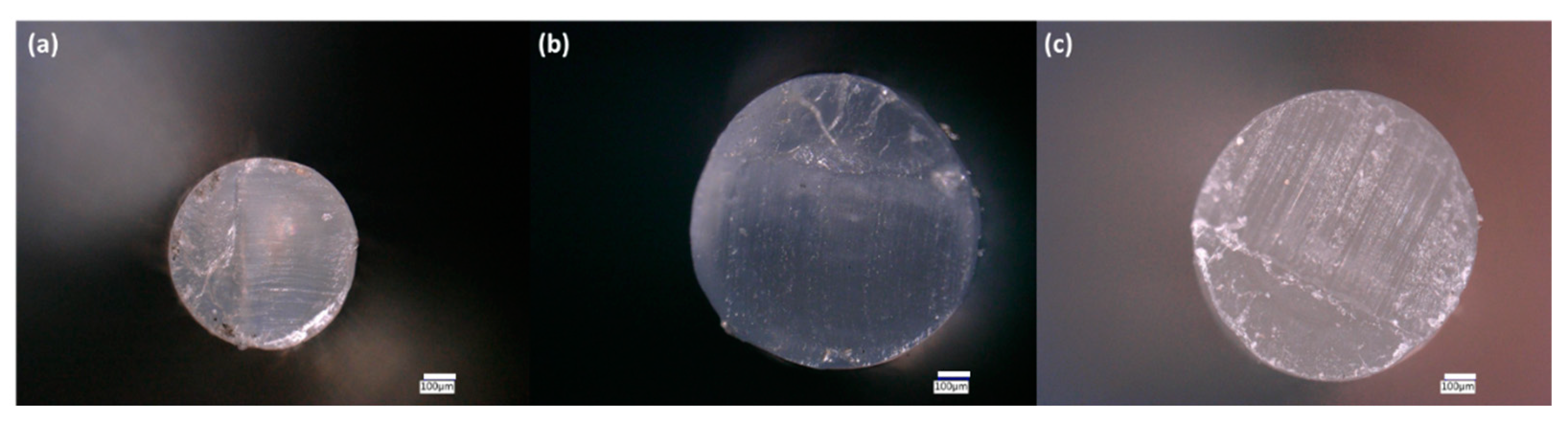 Polymers 13 00580 g002