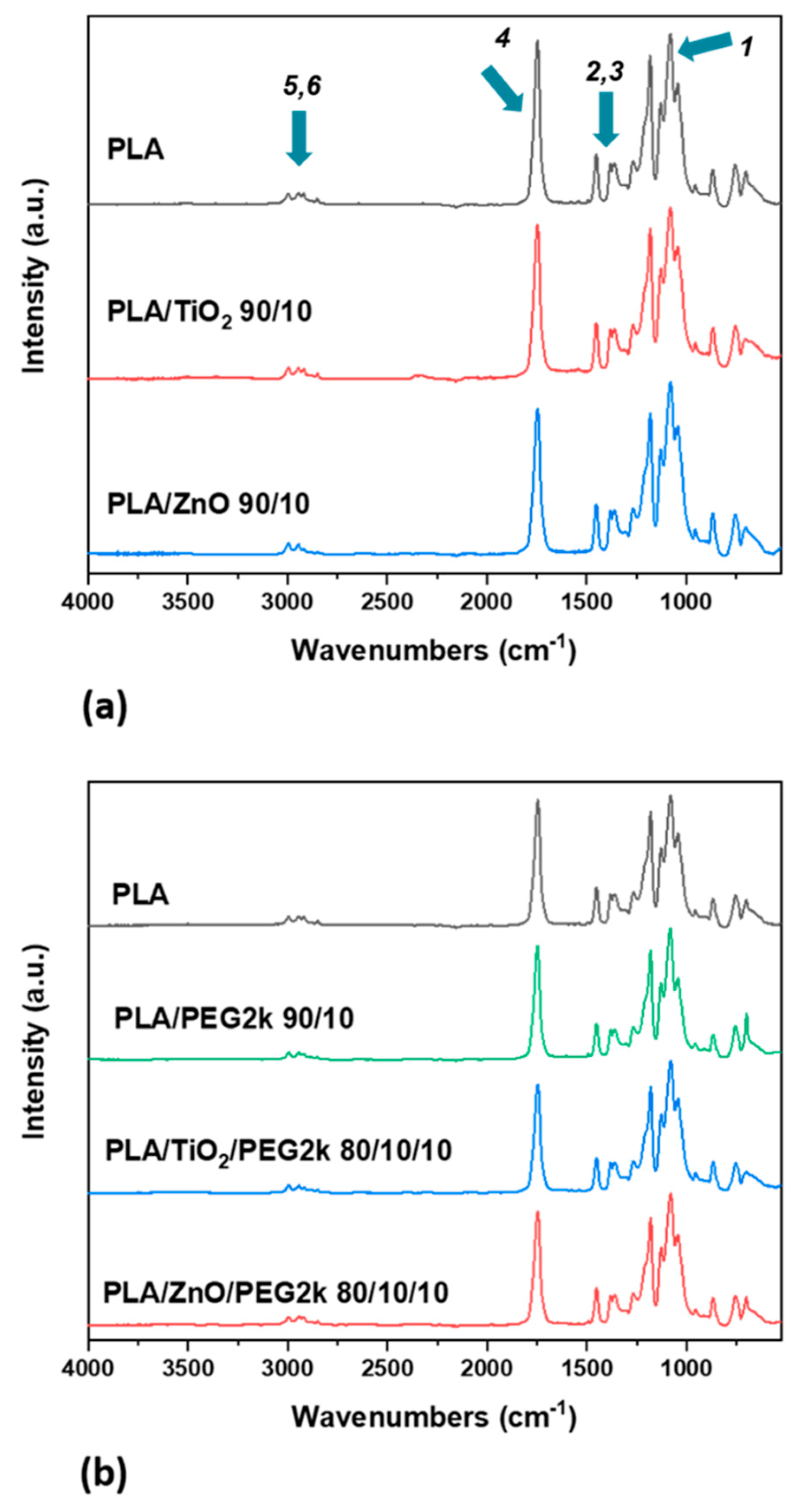 Polymers 13 00580 g003