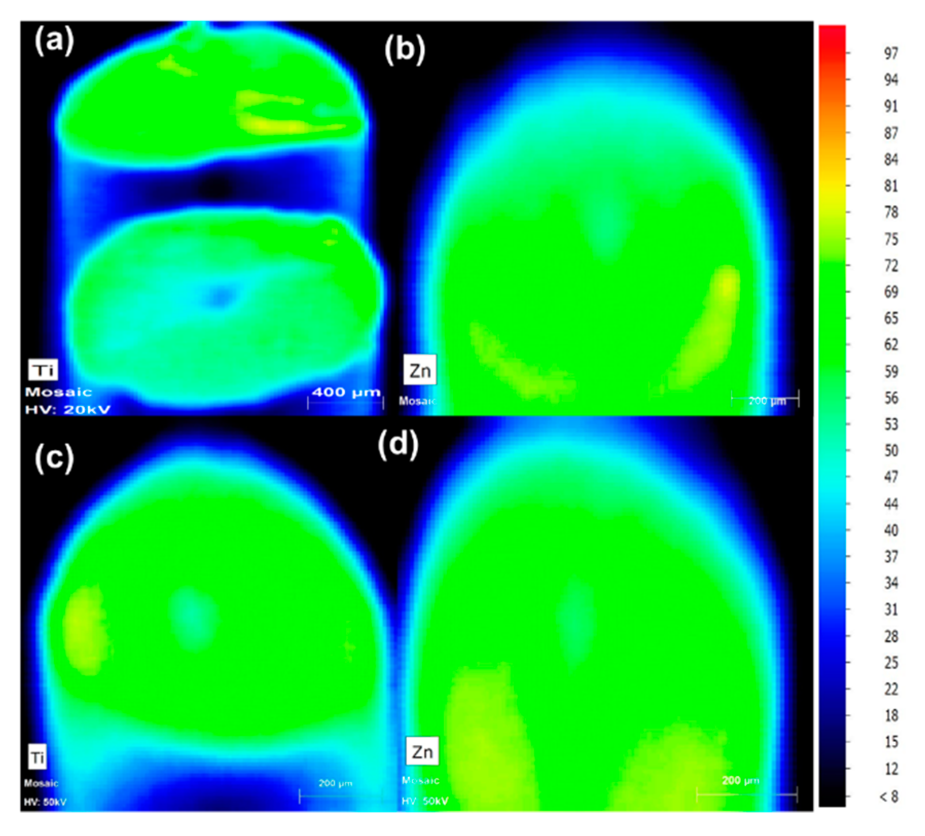 Polymers 13 00580 g004